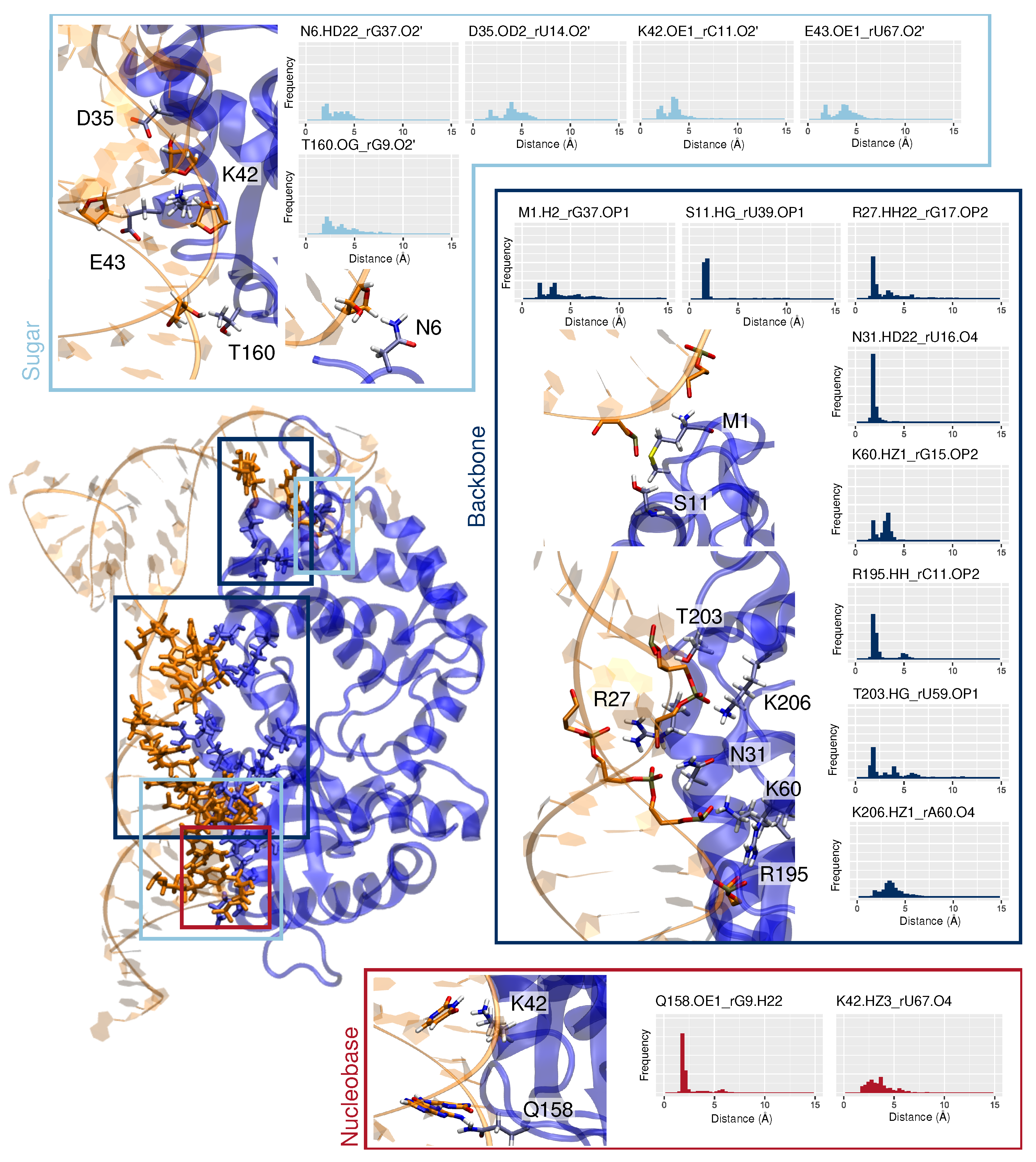 Viruses 14 01282 g005