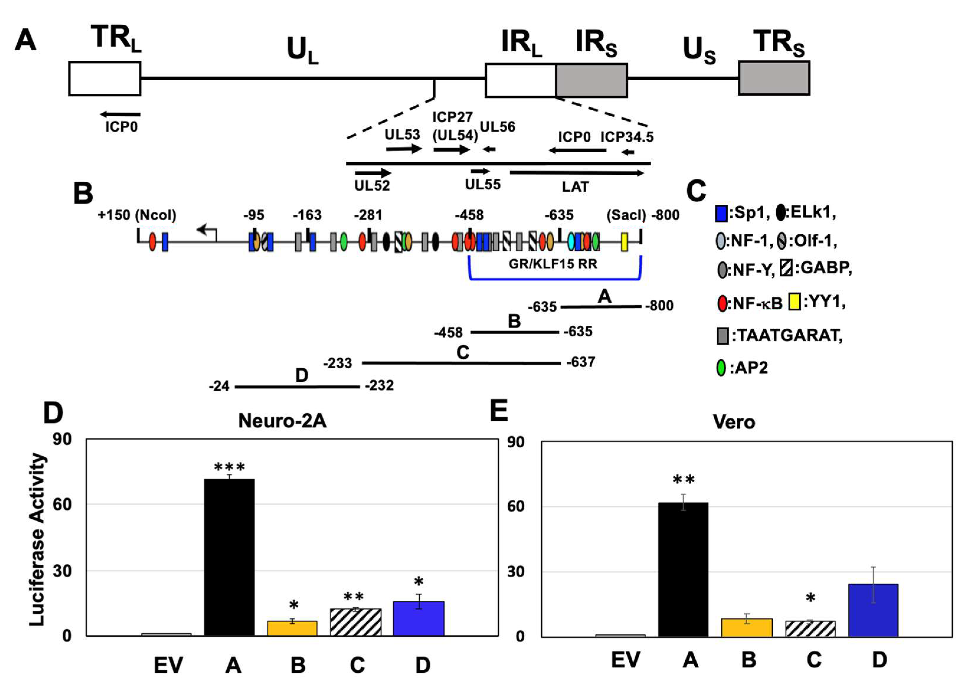 Viruses 14 01284 g001 Viruses 14 01284 g001