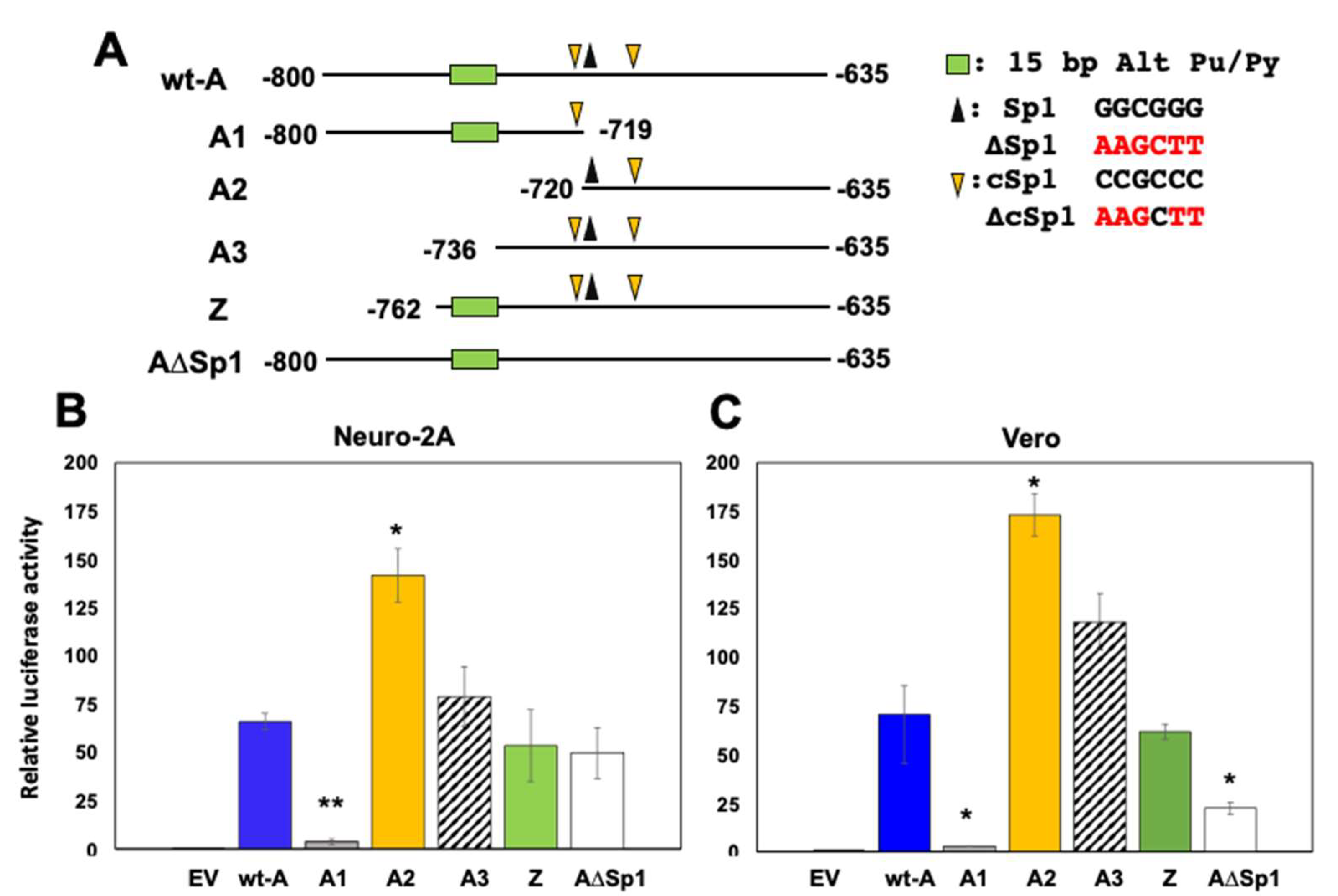 Viruses 14 01284 g002 Viruses 14 01284 g002