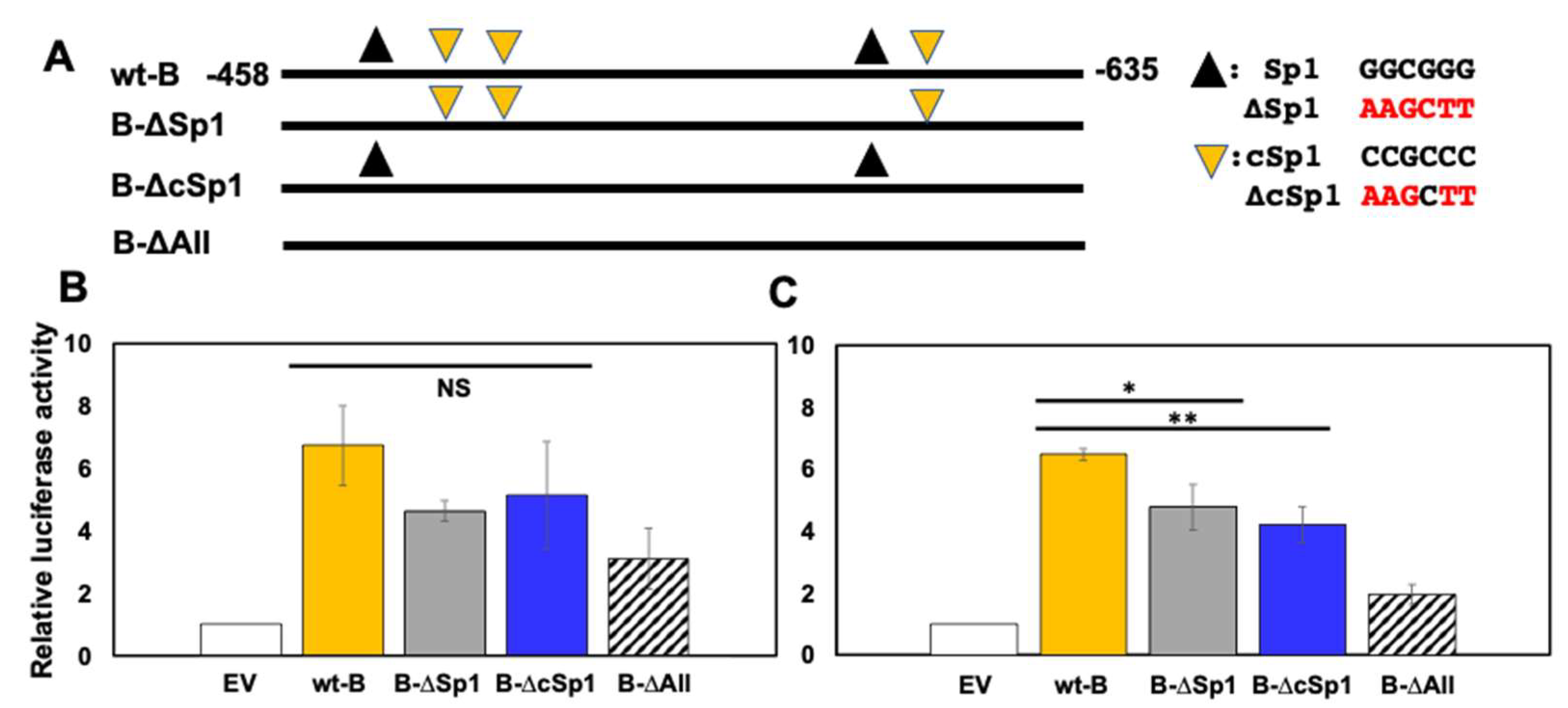 Viruses 14 01284 g004 Viruses 14 01284 g004