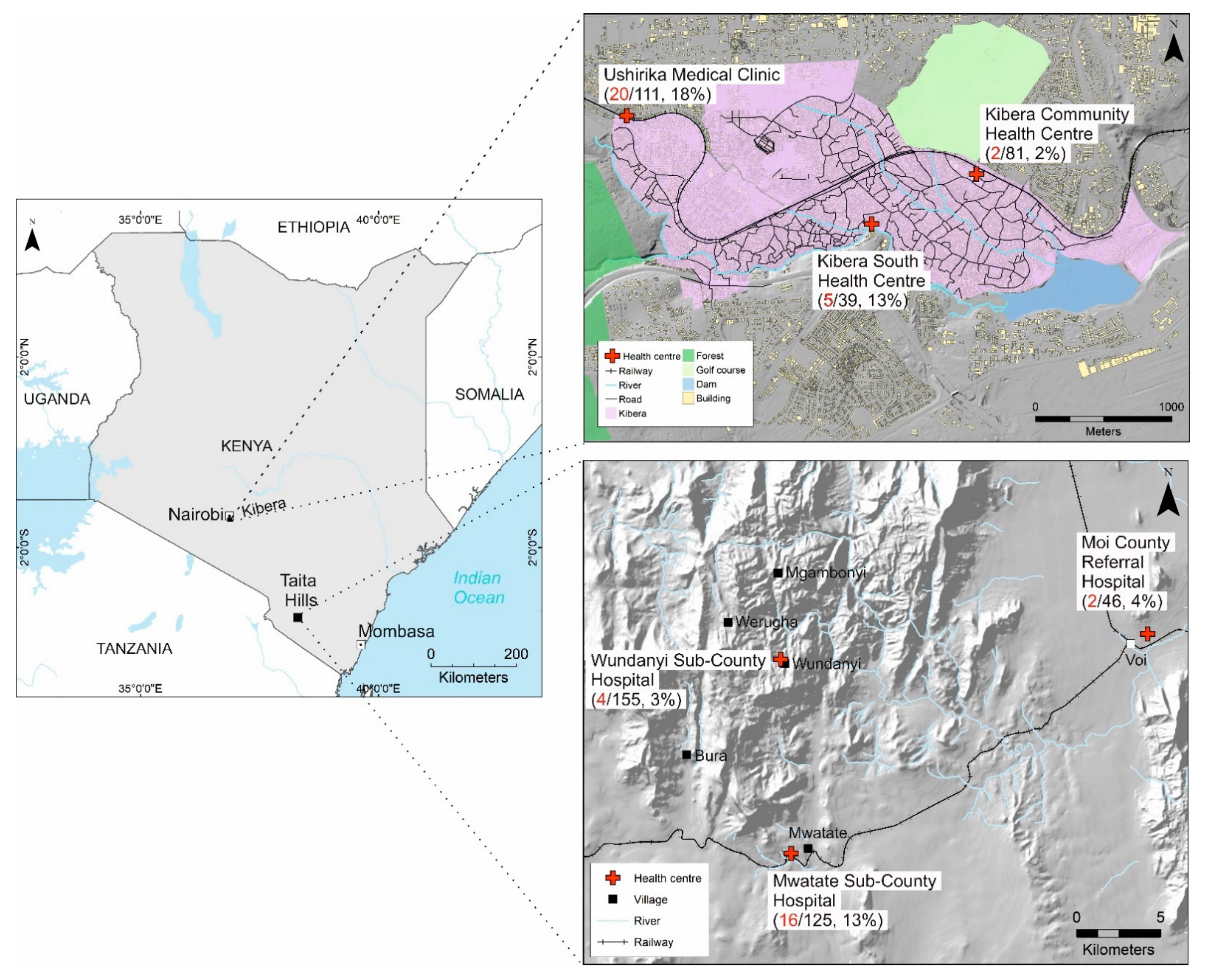 Viruses 14 01286 g001