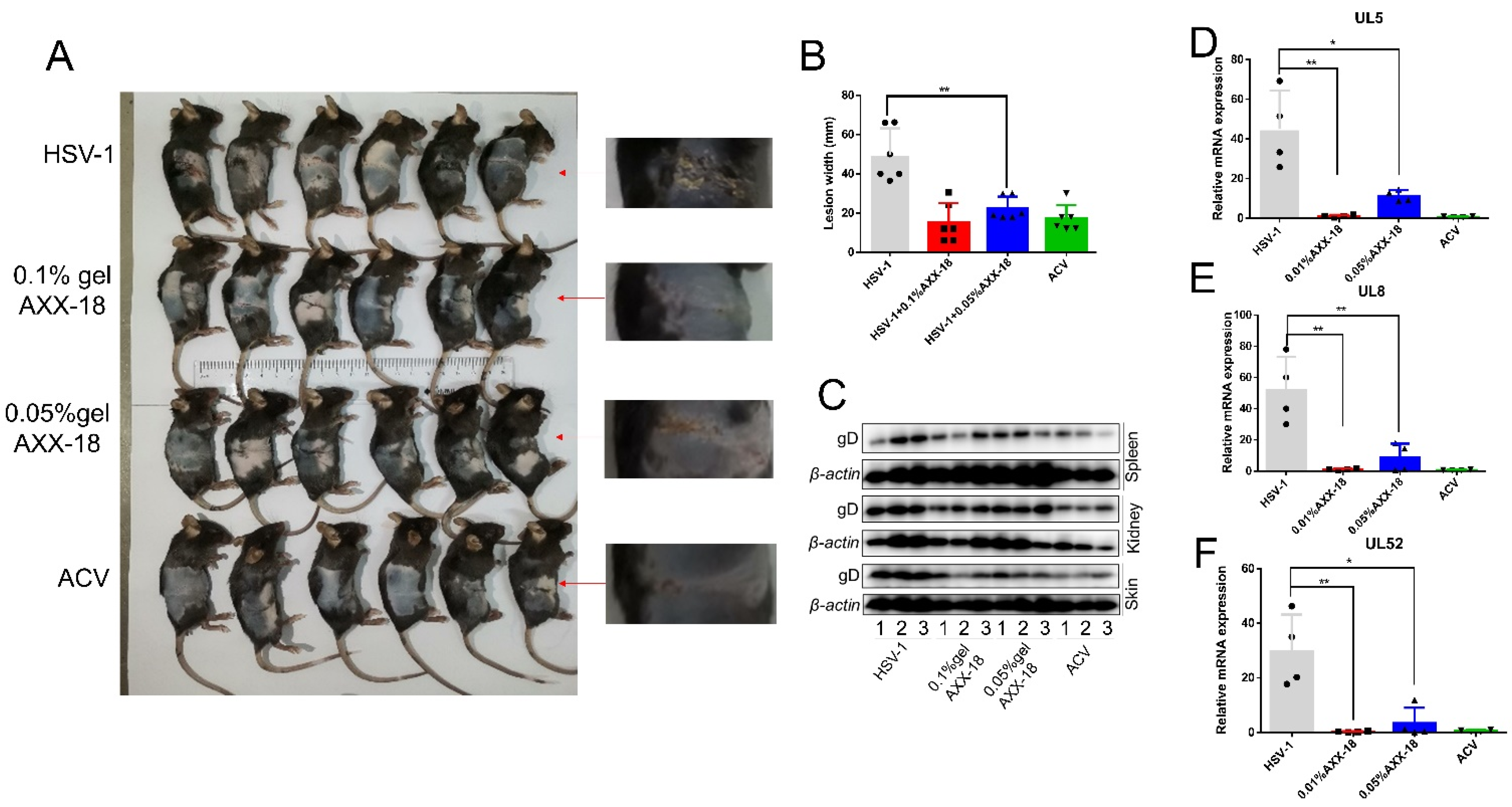 Viruses 14 01287 g007 550