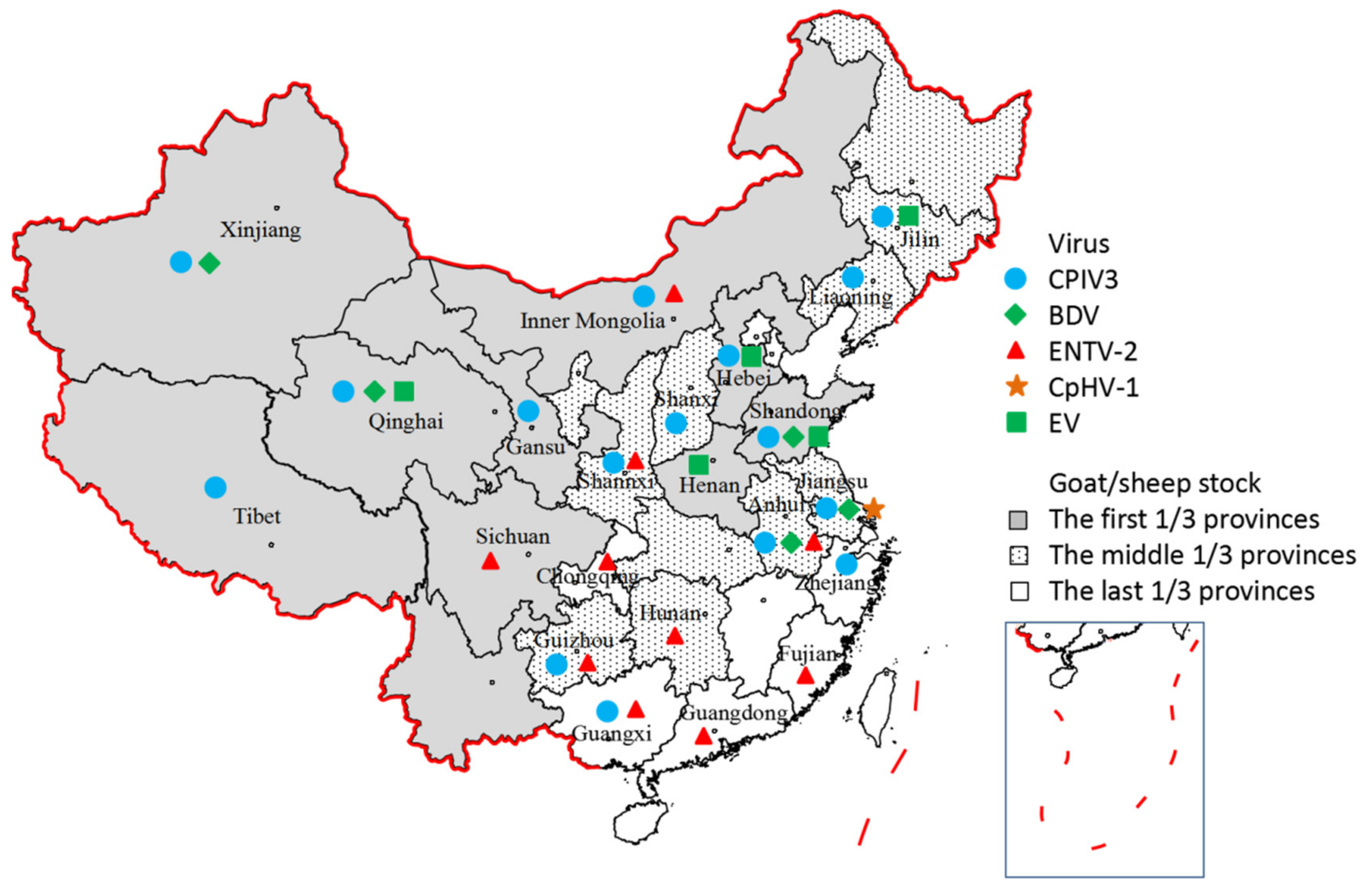 Research Progress on Emerging Viral Pathogens of Small