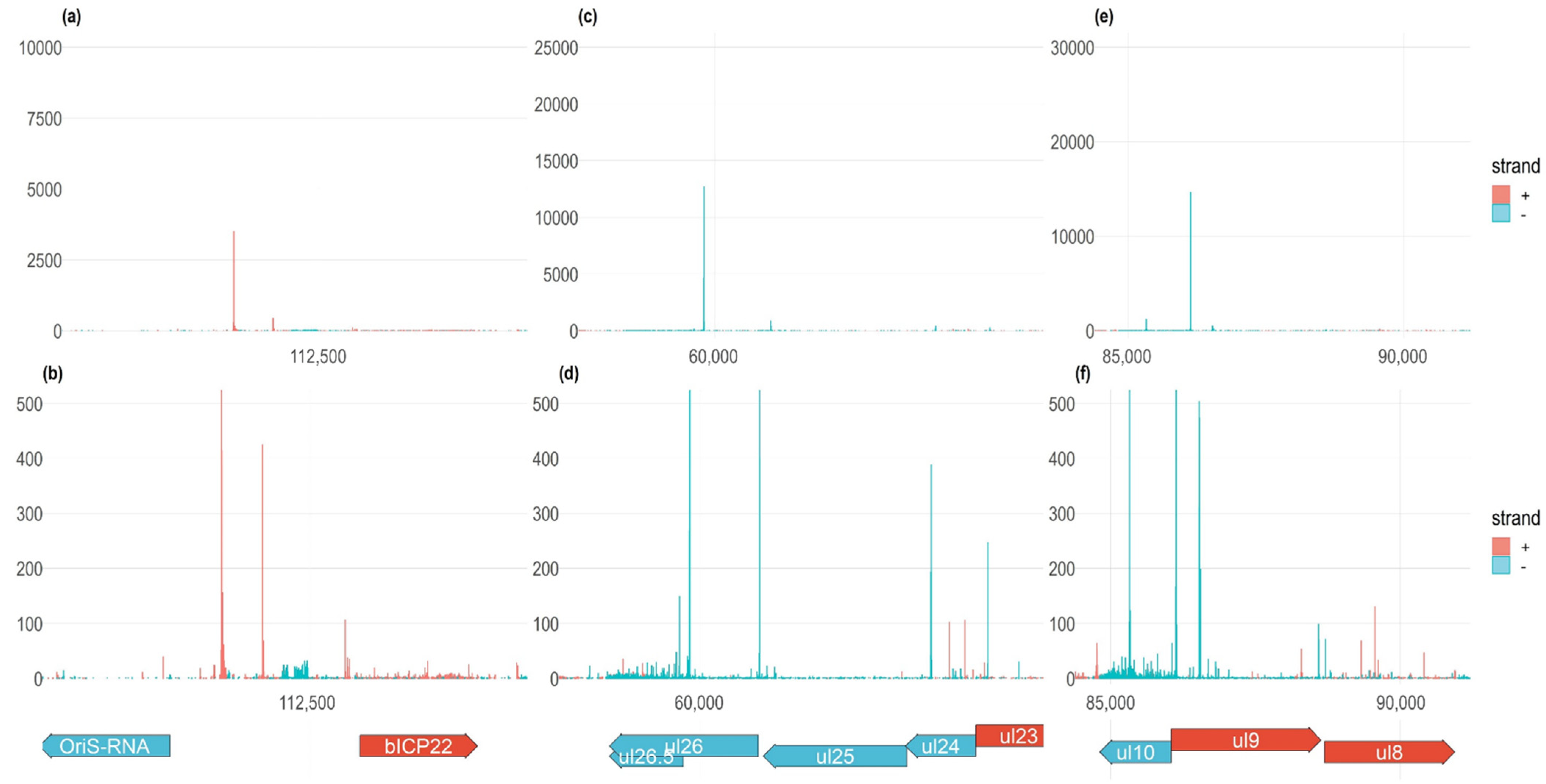 Viruses 14 01289 g002