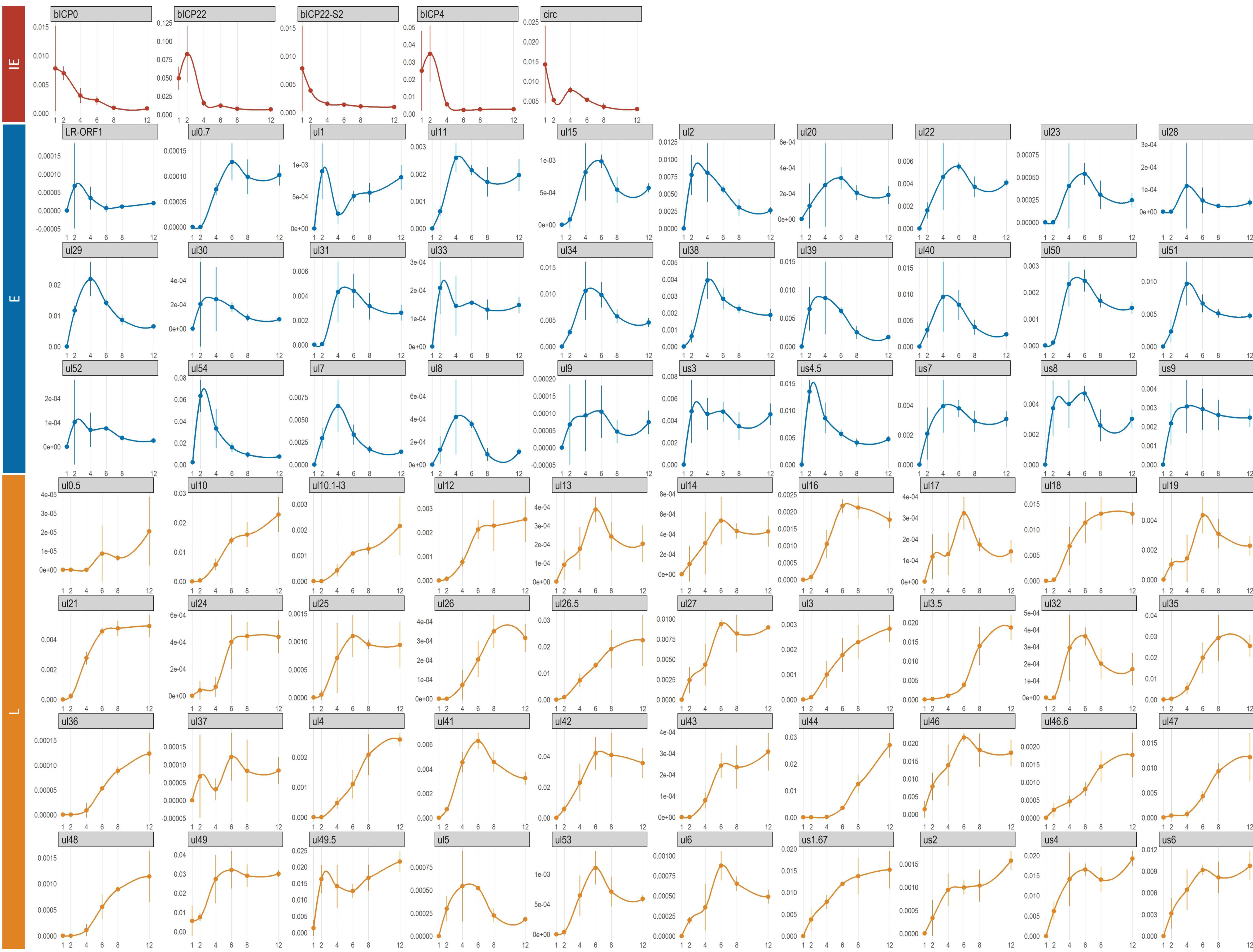 Viruses 14 01289 g005