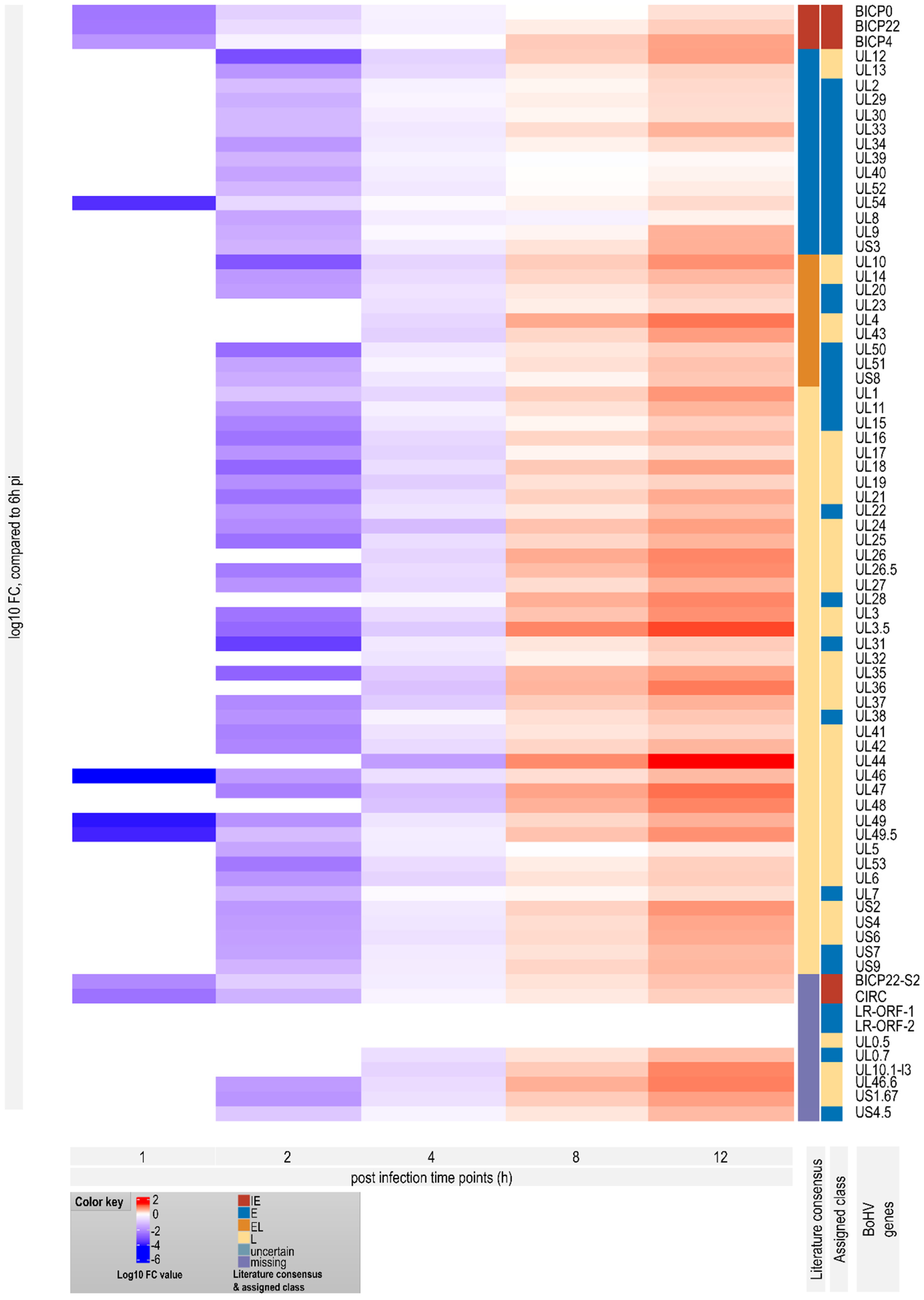 Viruses 14 01289 g006