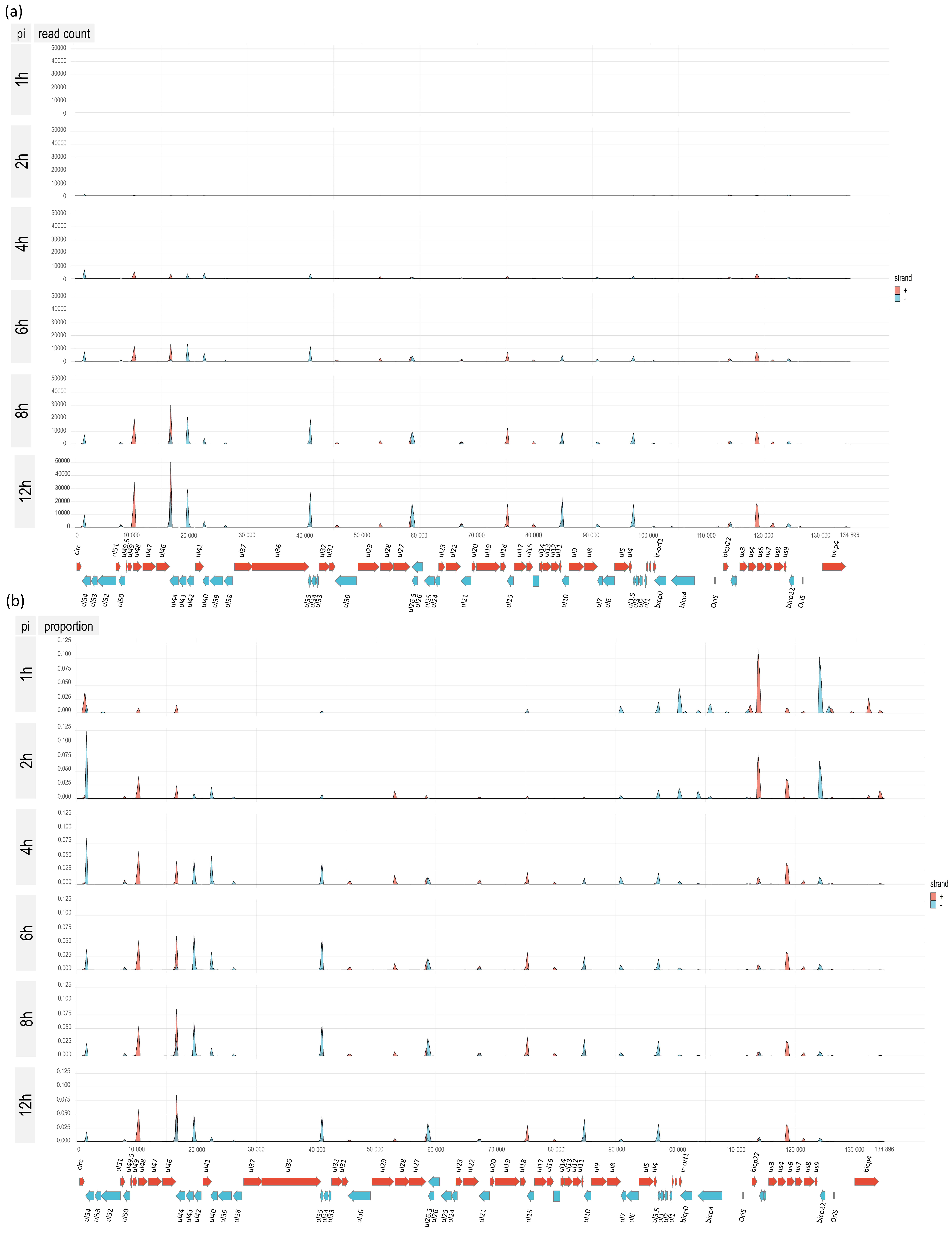 Viruses 14 01289 g008