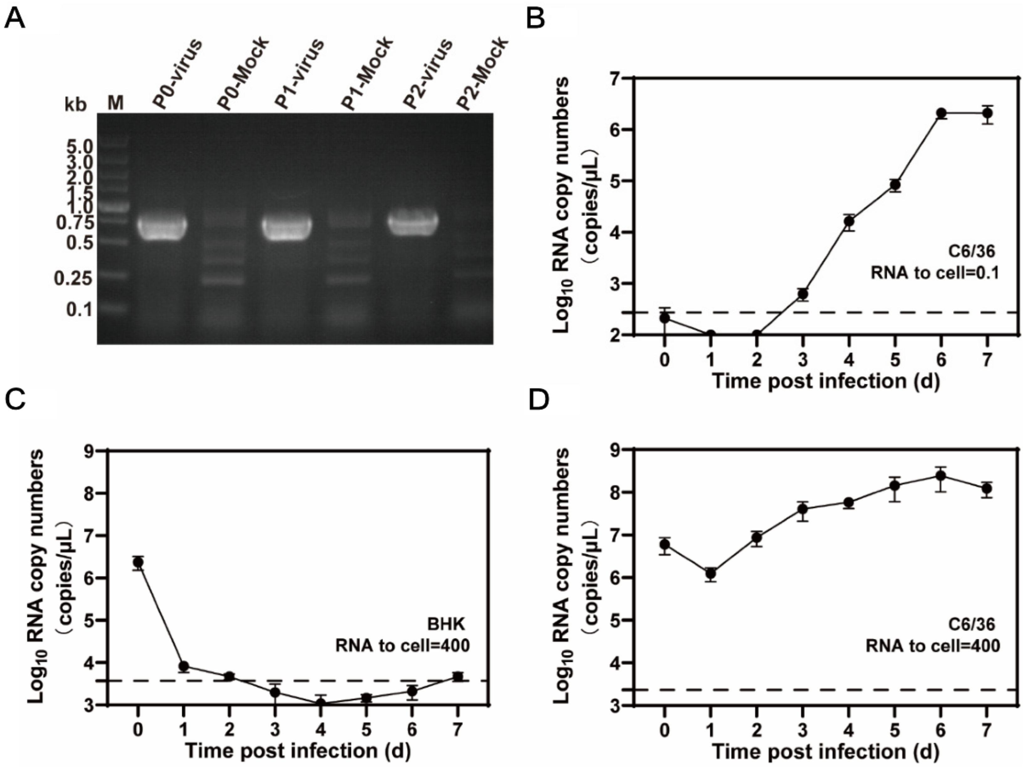 Viruses 14 01298 g004