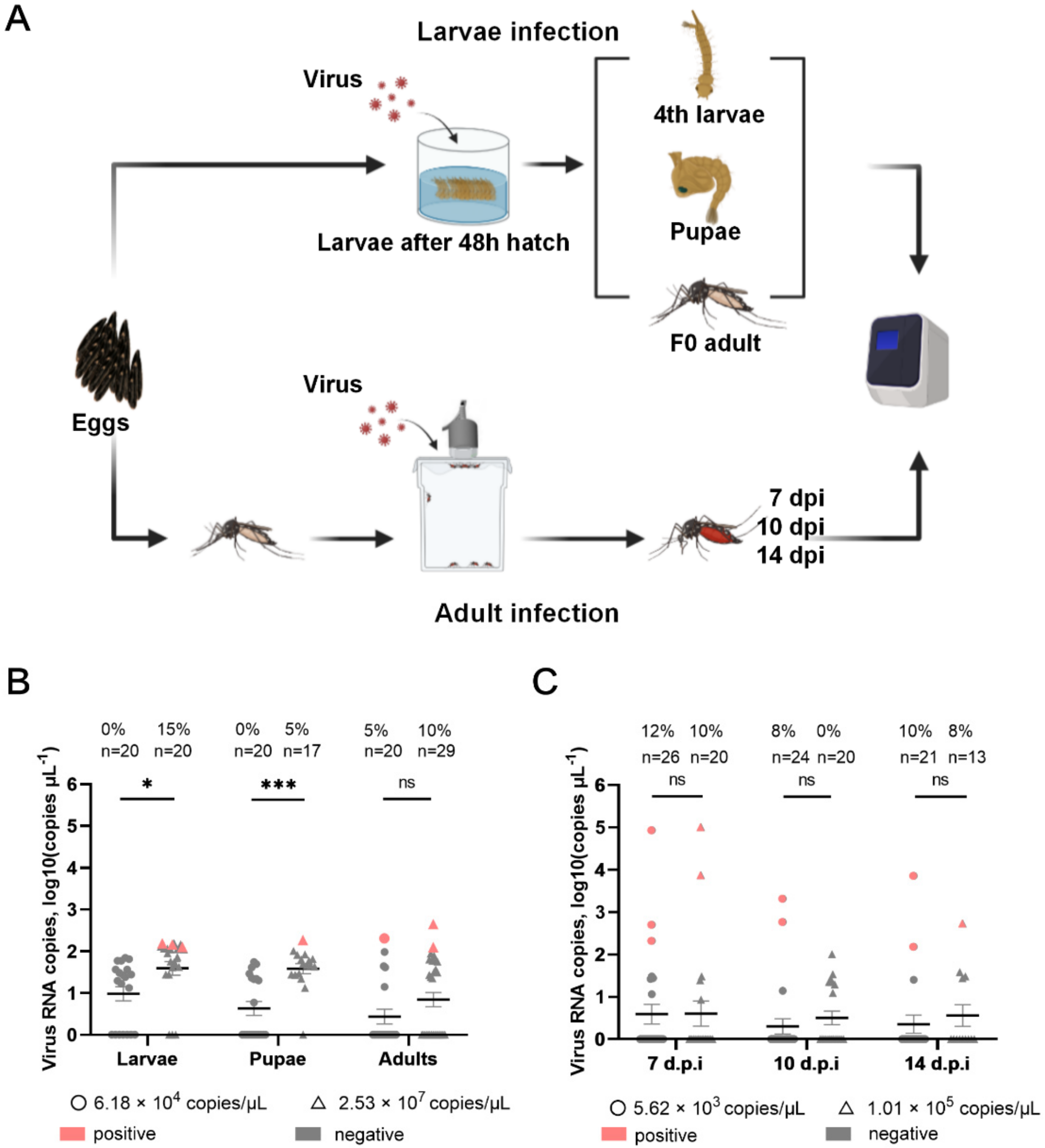 Viruses 14 01298 g005