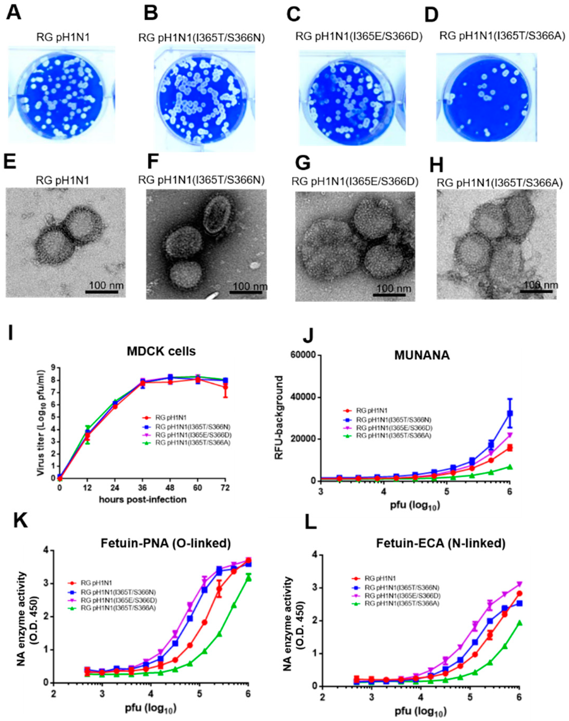 Viruses 14 01304 g002 550