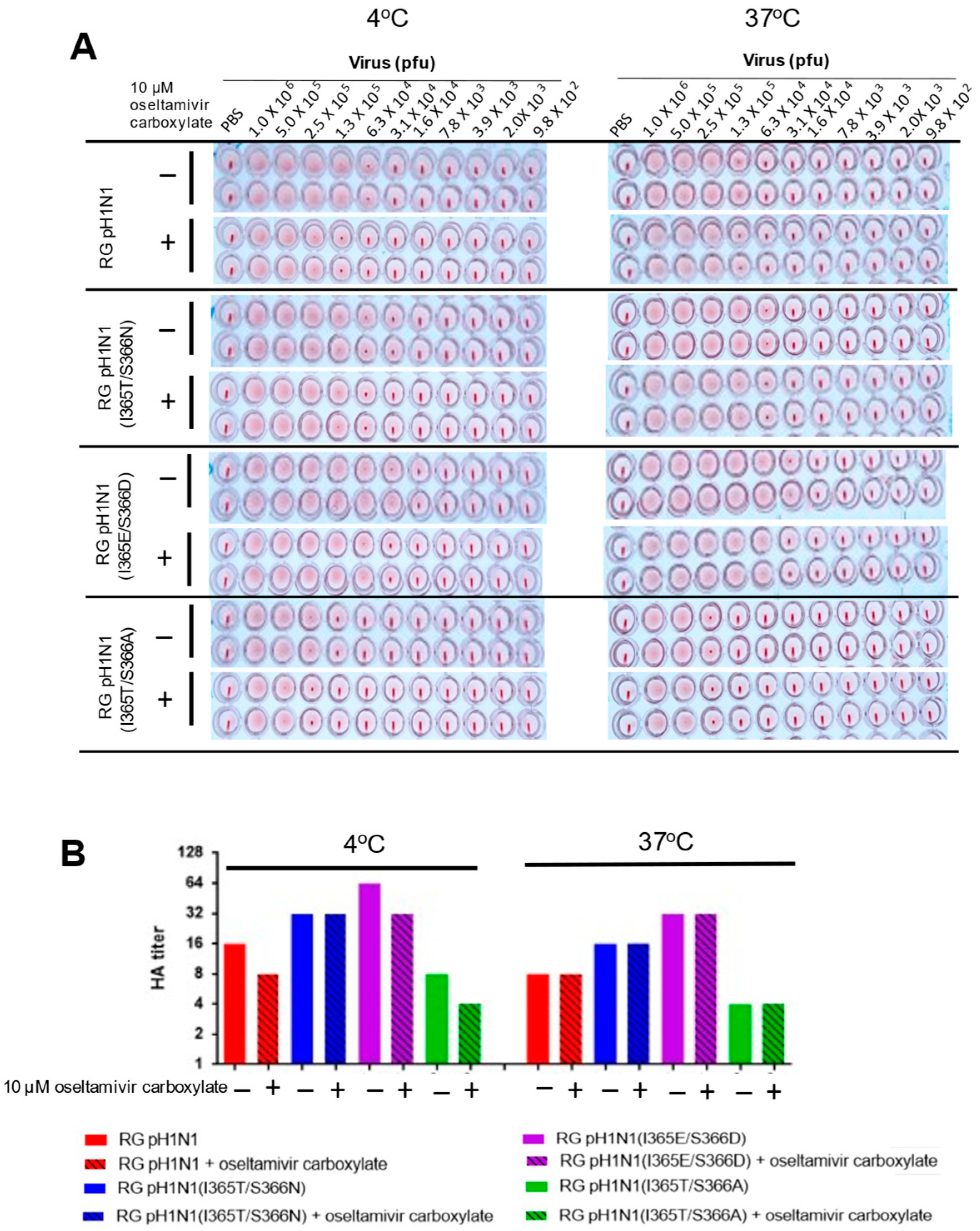 Viruses 14 01304 g004 550