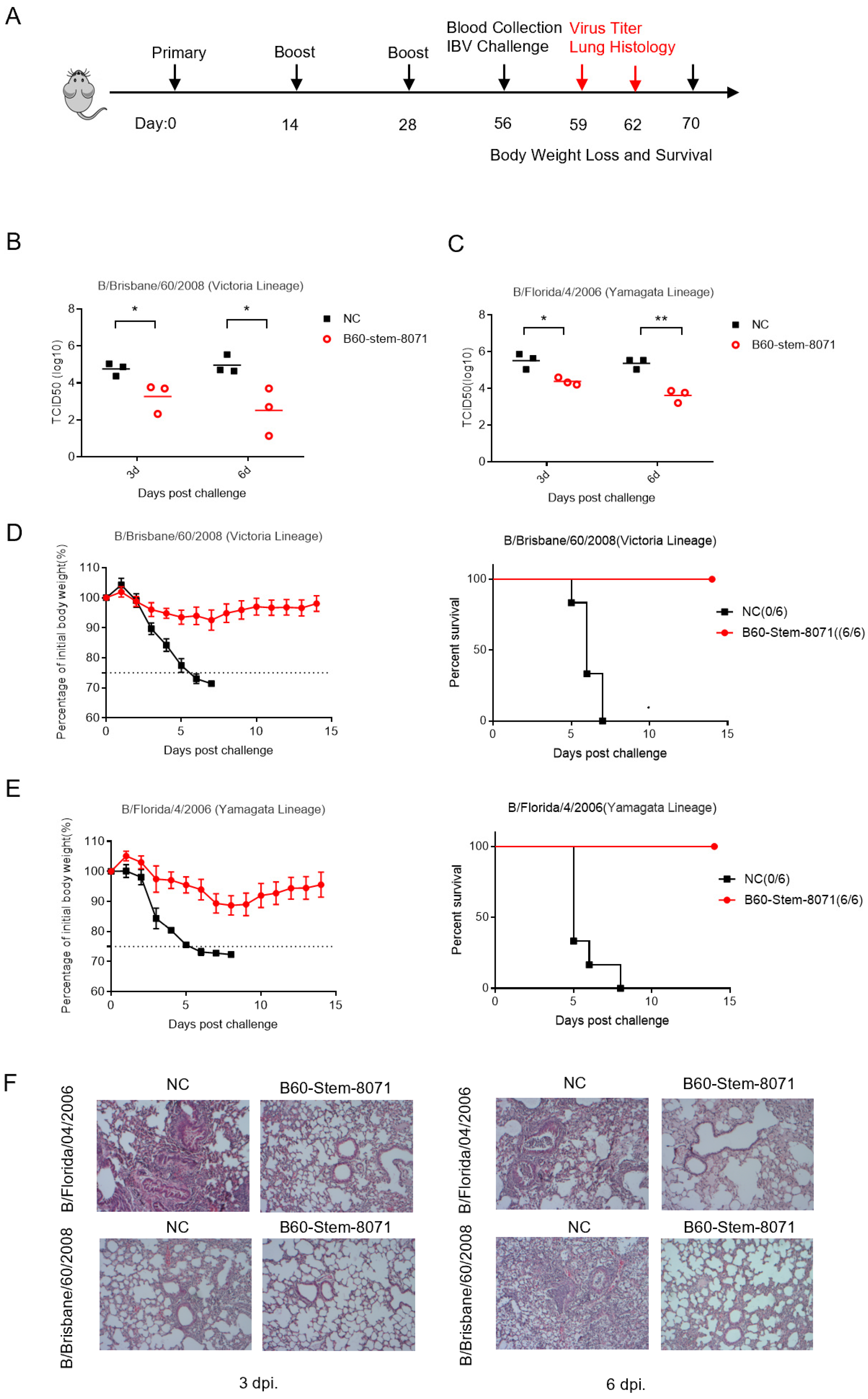 Viruses 14 01305 g005 550