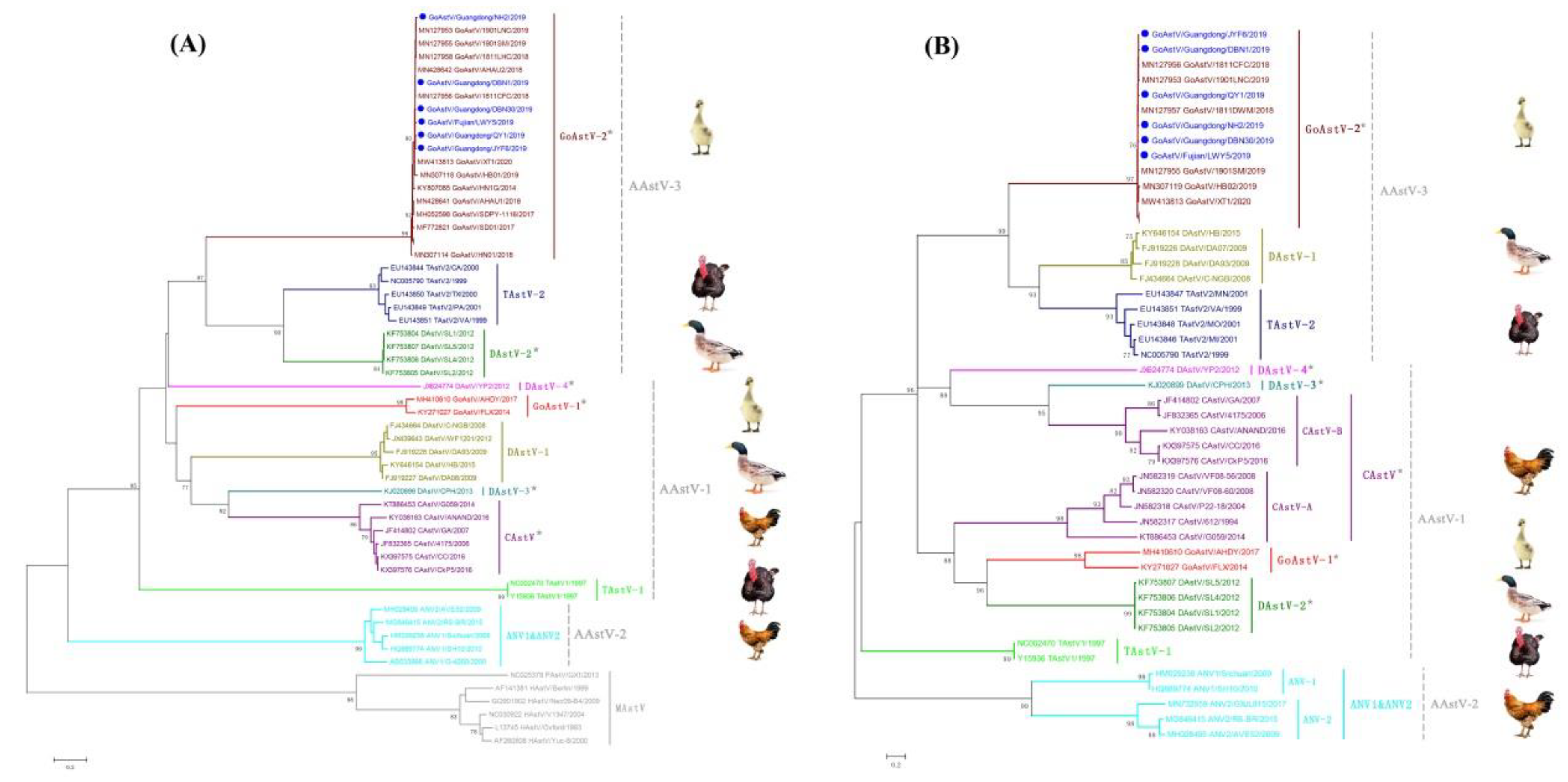 Viruses 14 01306 g003