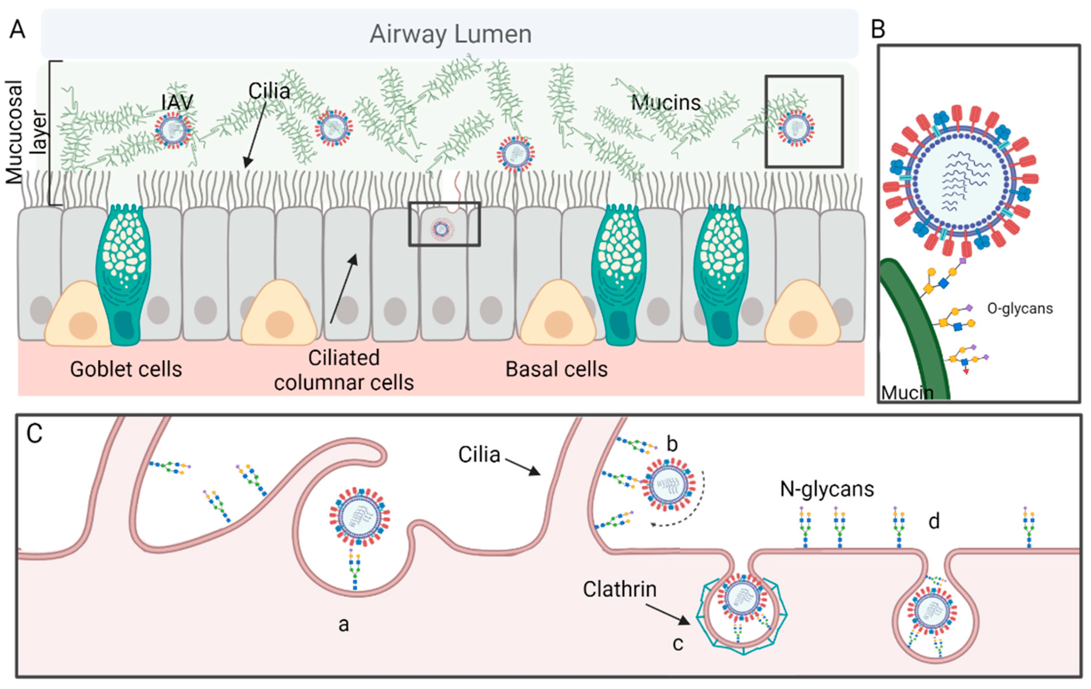 Viruses 14 01307 g001