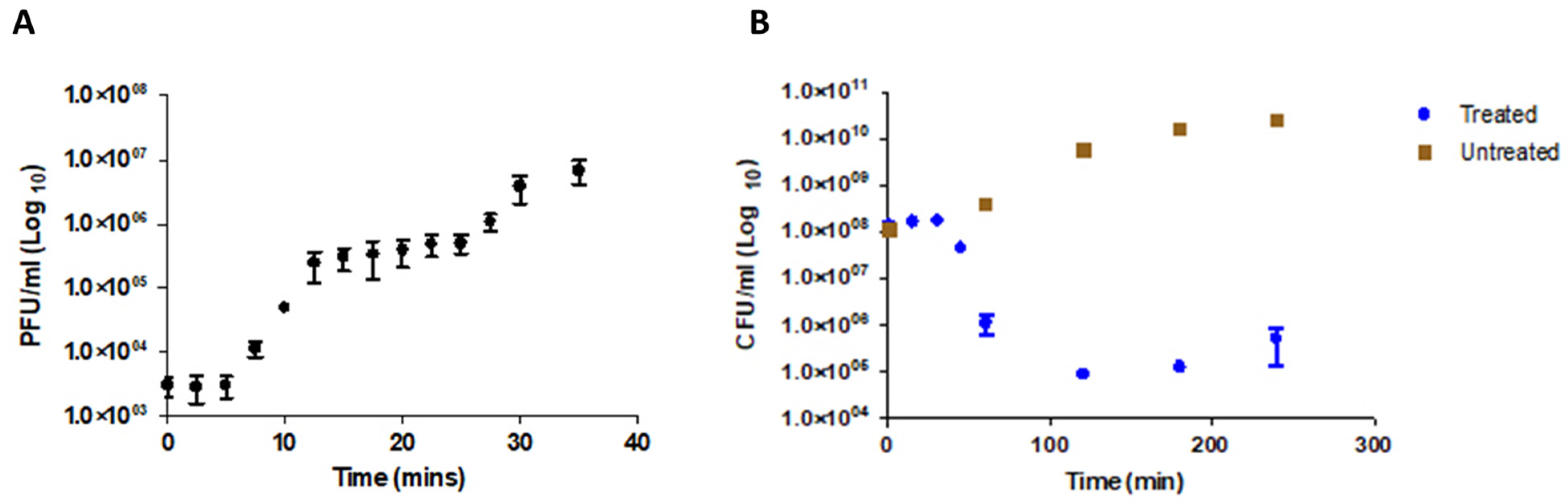 Viruses 14 01309 g002
