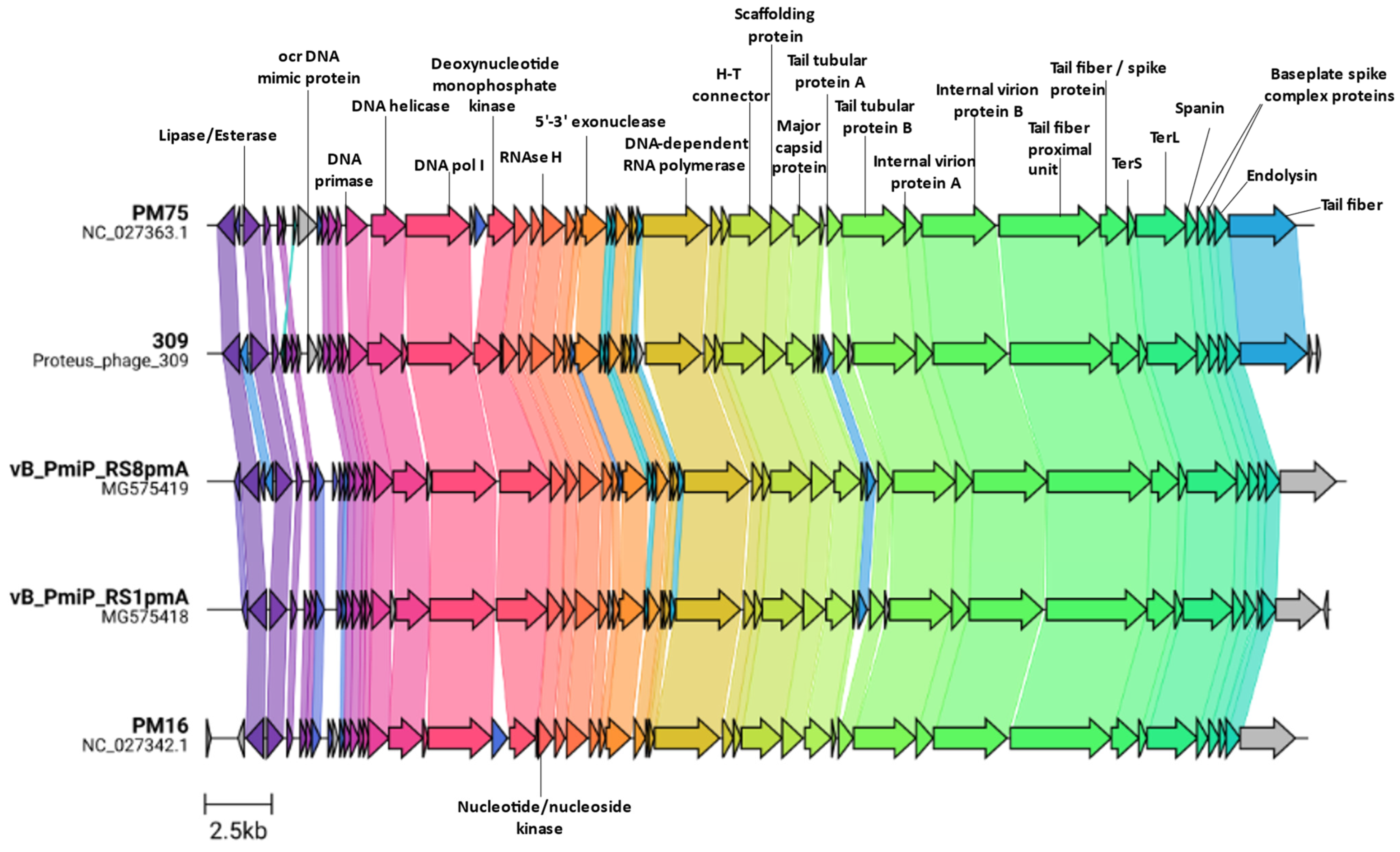 Viruses 14 01309 g004