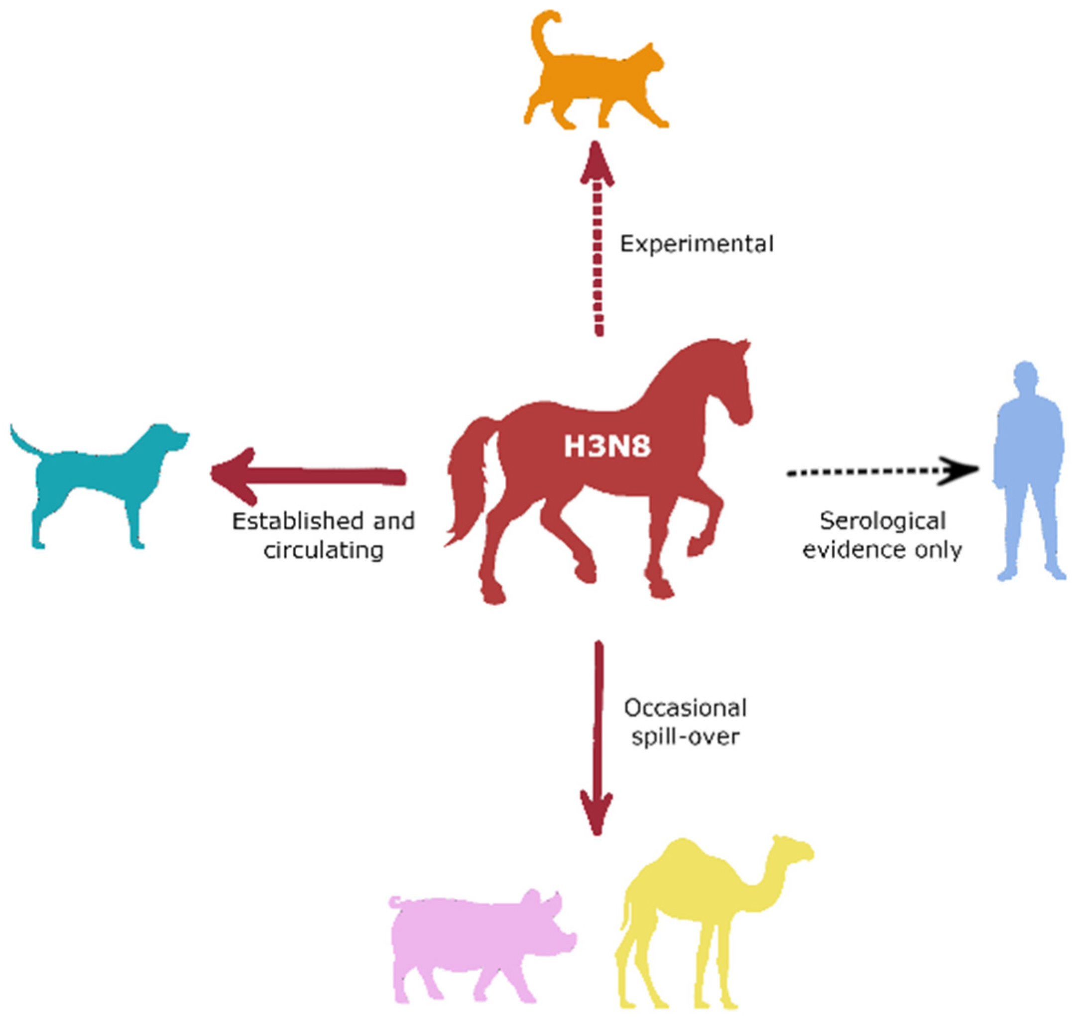 Viruses 14 01312 g002