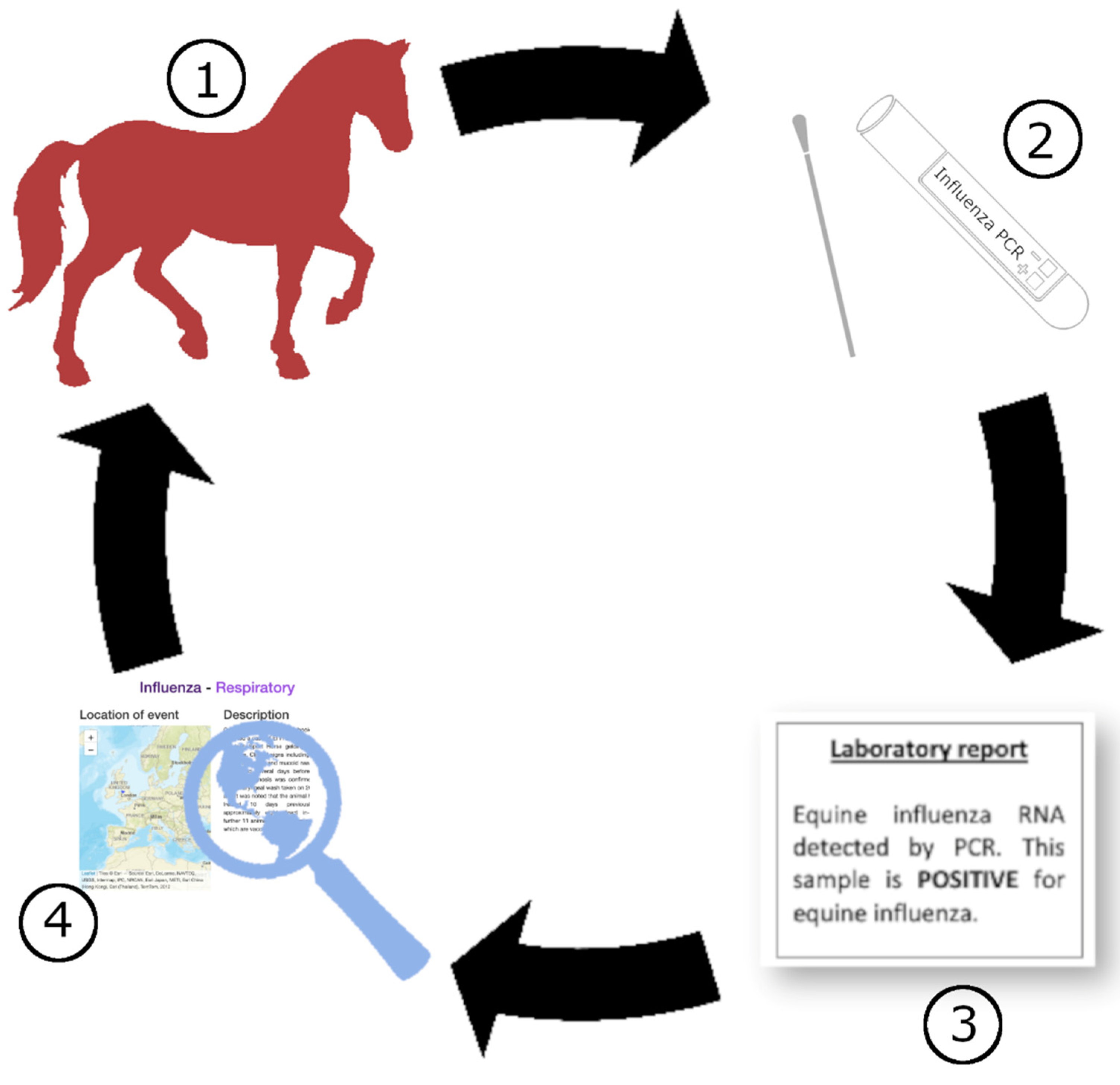 Viruses 14 01312 g003