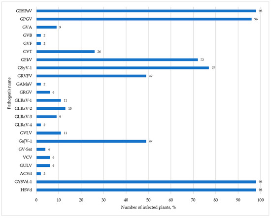 Viruses | Free Full-Text | Virome of Grapevine Germplasm from the 