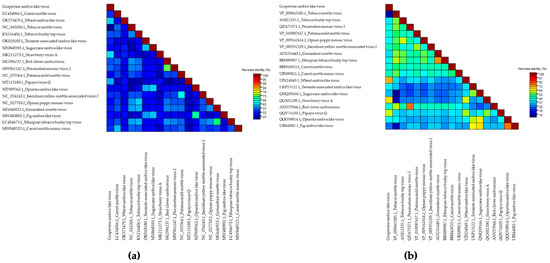 Virome of Grapevine Germplasm from the Anapa Ampelographic