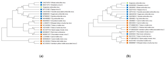 【T】 Woody Litter Increases Headwater Stream Metal Export Ratio