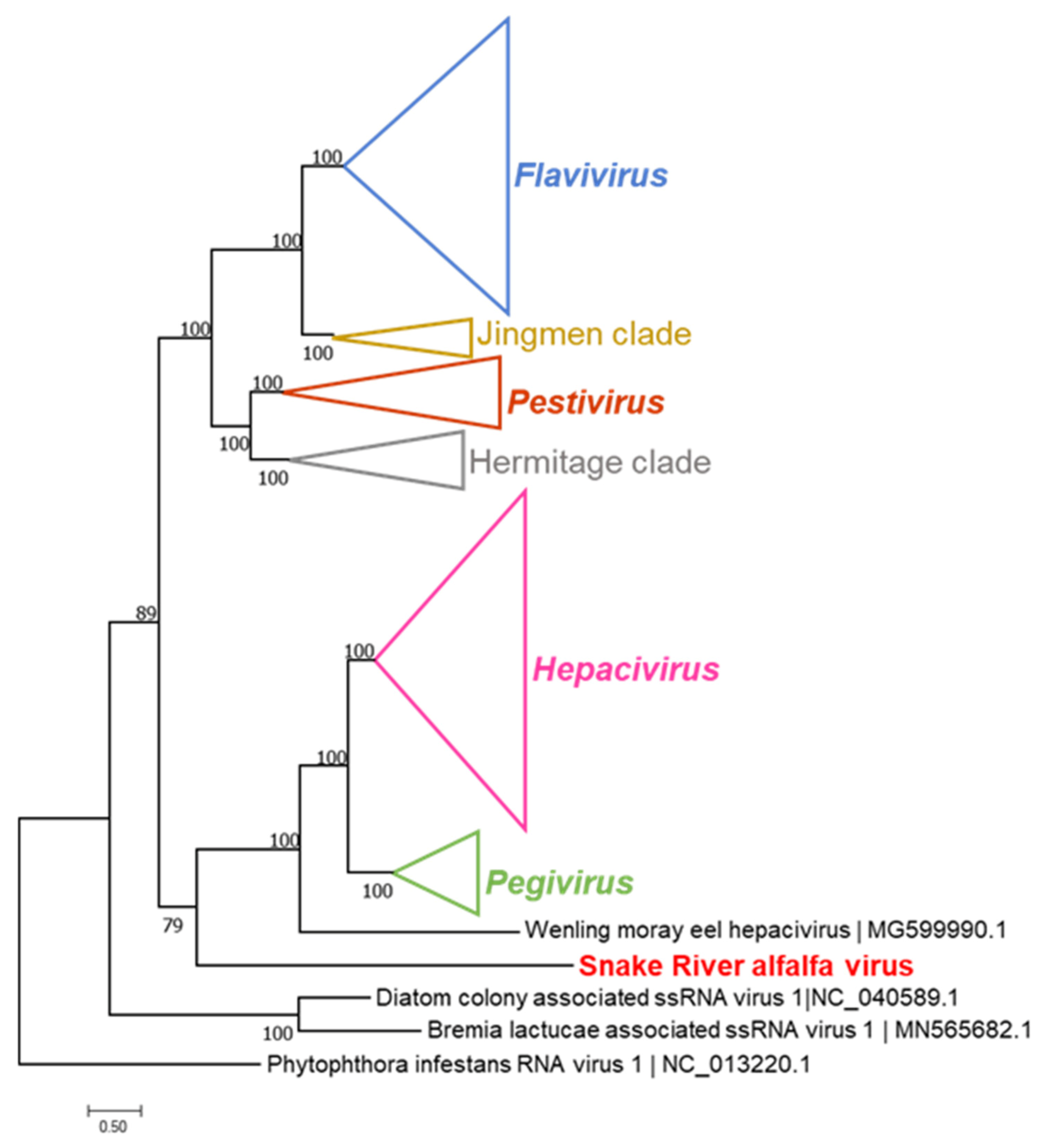 Viruses 14 01320 g003 550