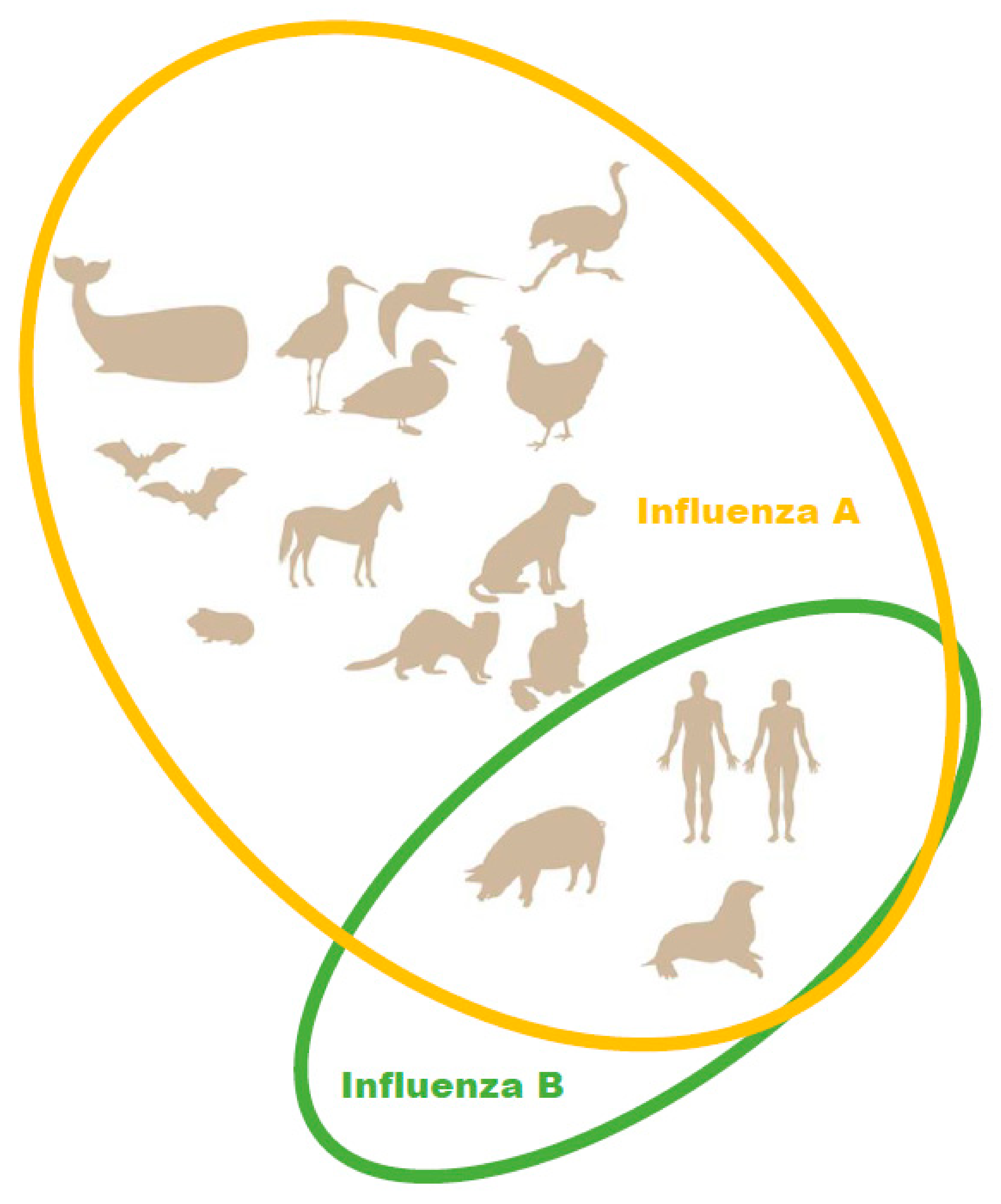 Viruses 14 01323 g001 Viruses 14 01323 g001