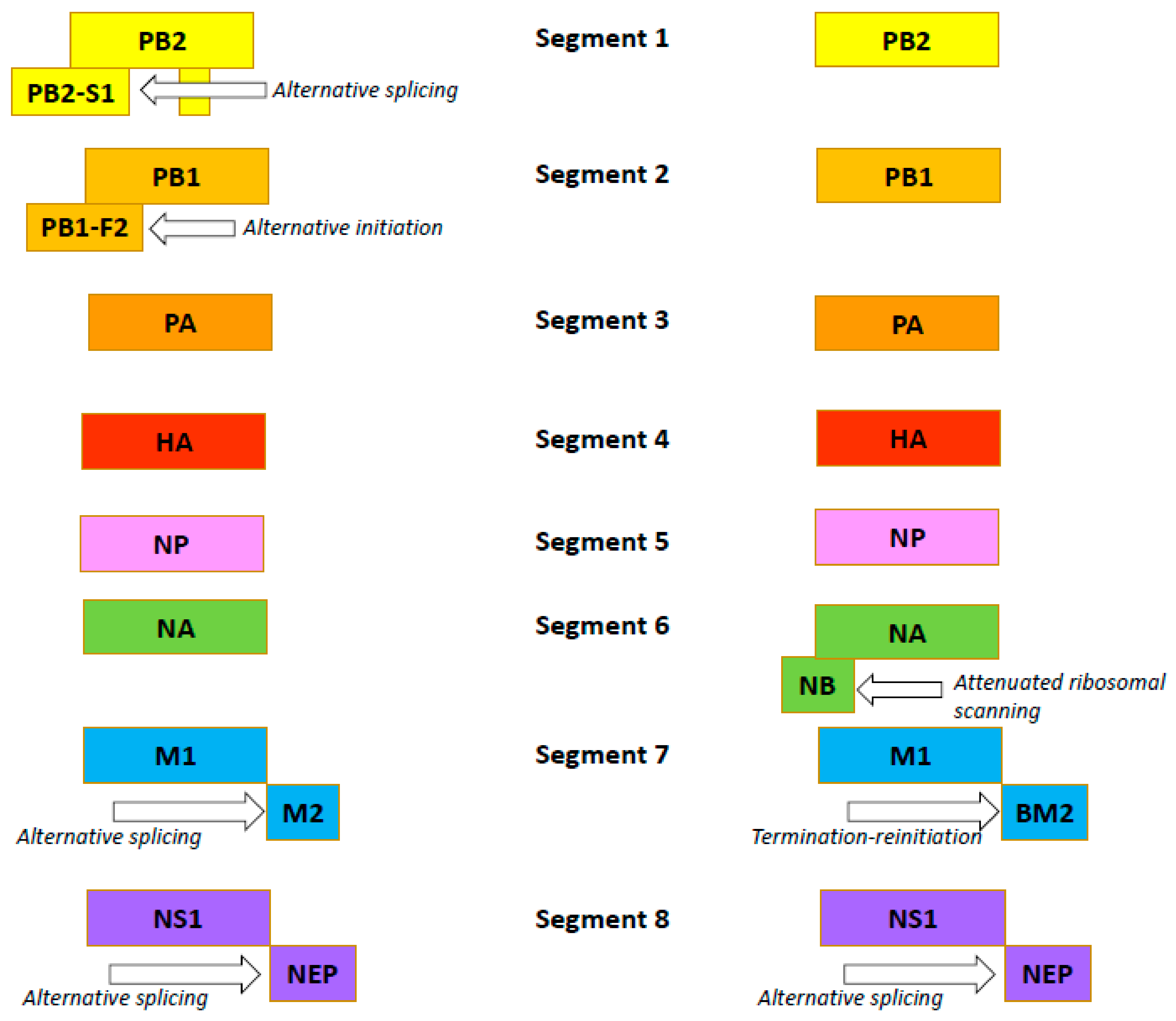 Viruses 14 01323 g002 Viruses 14 01323 g002