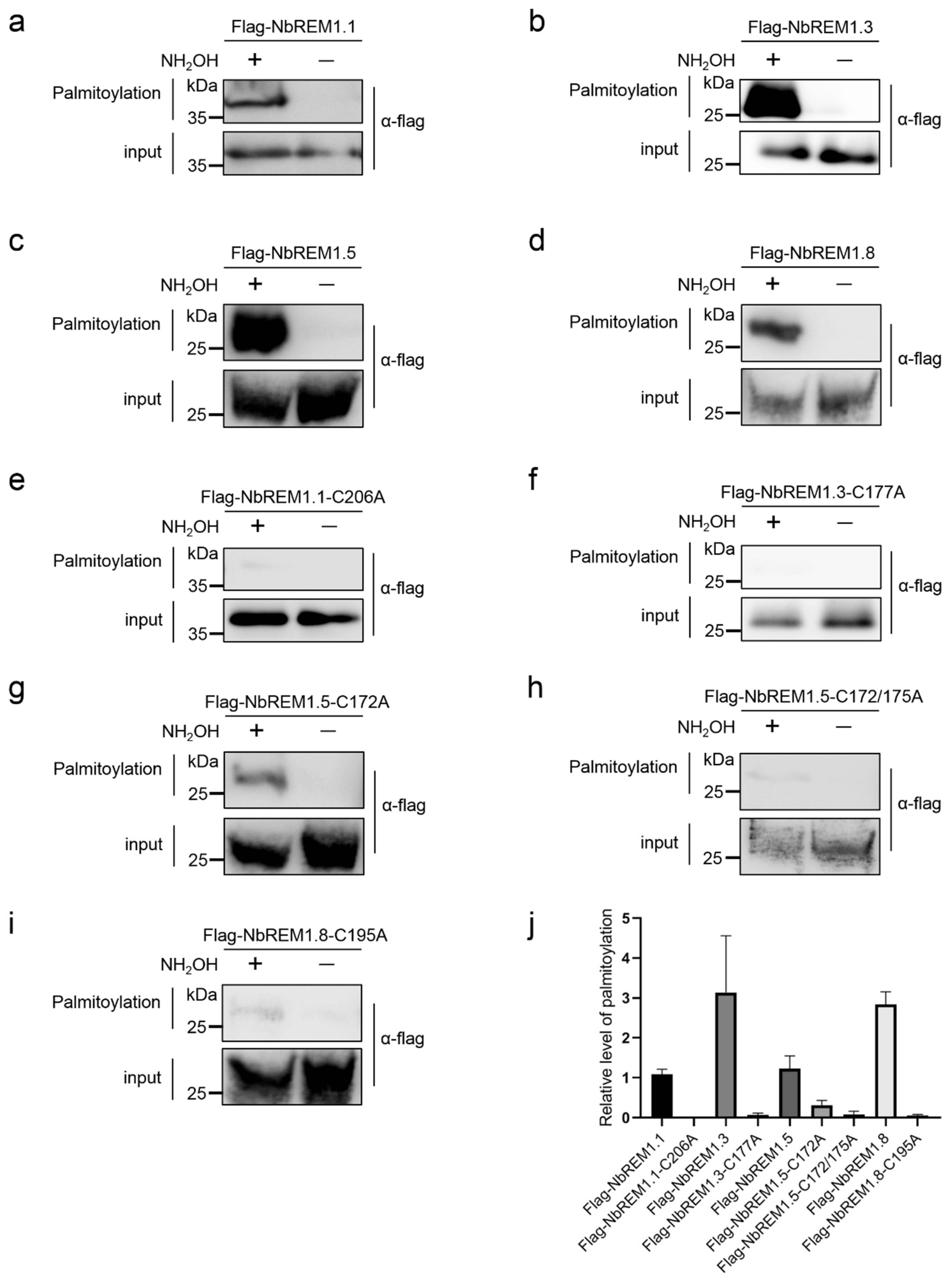 Viruses 14 01324 g001