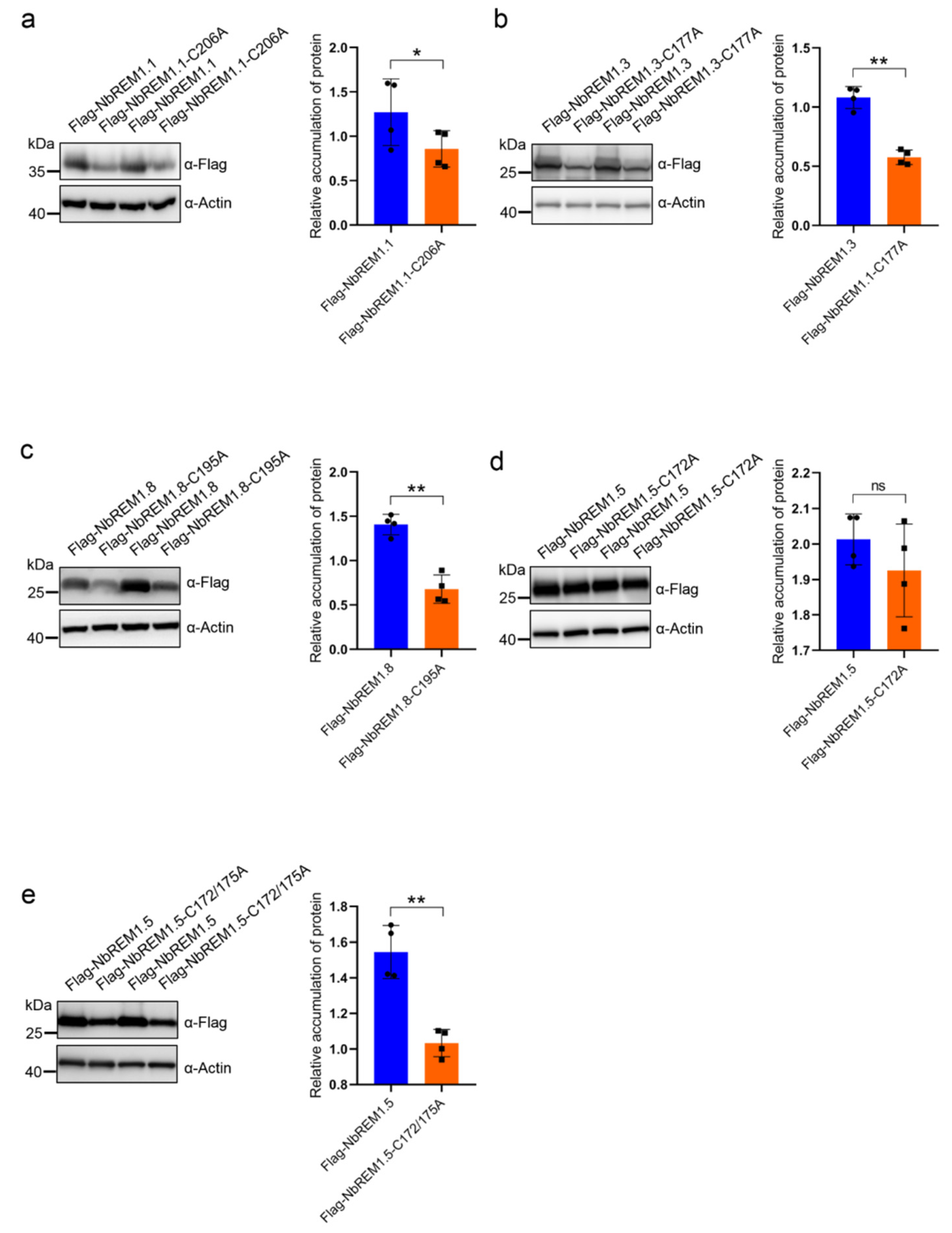 Viruses 14 01324 g002