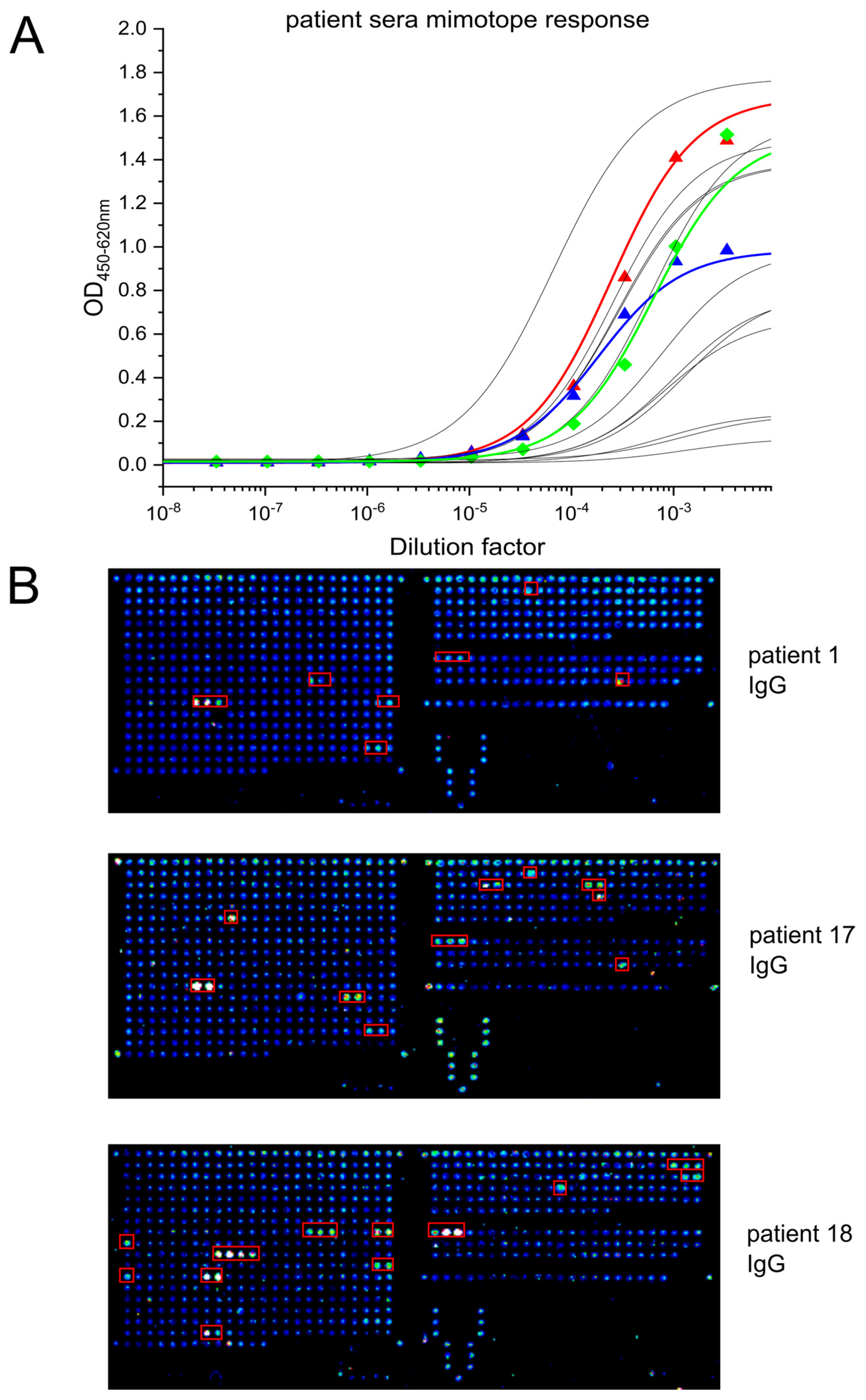 Viruses 14 01326 g003