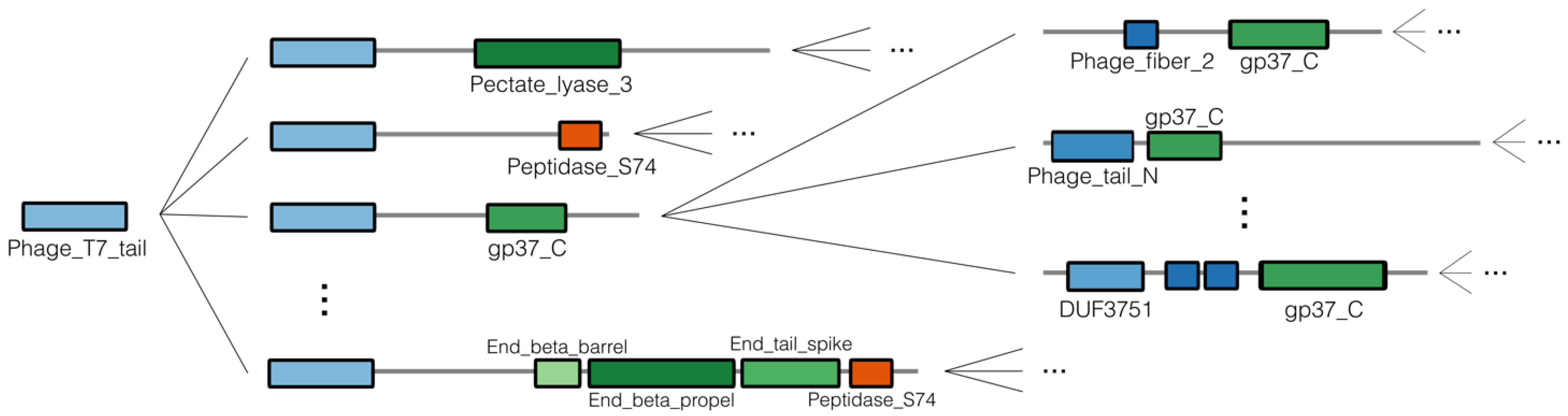 Viruses 14 01329 g002 550