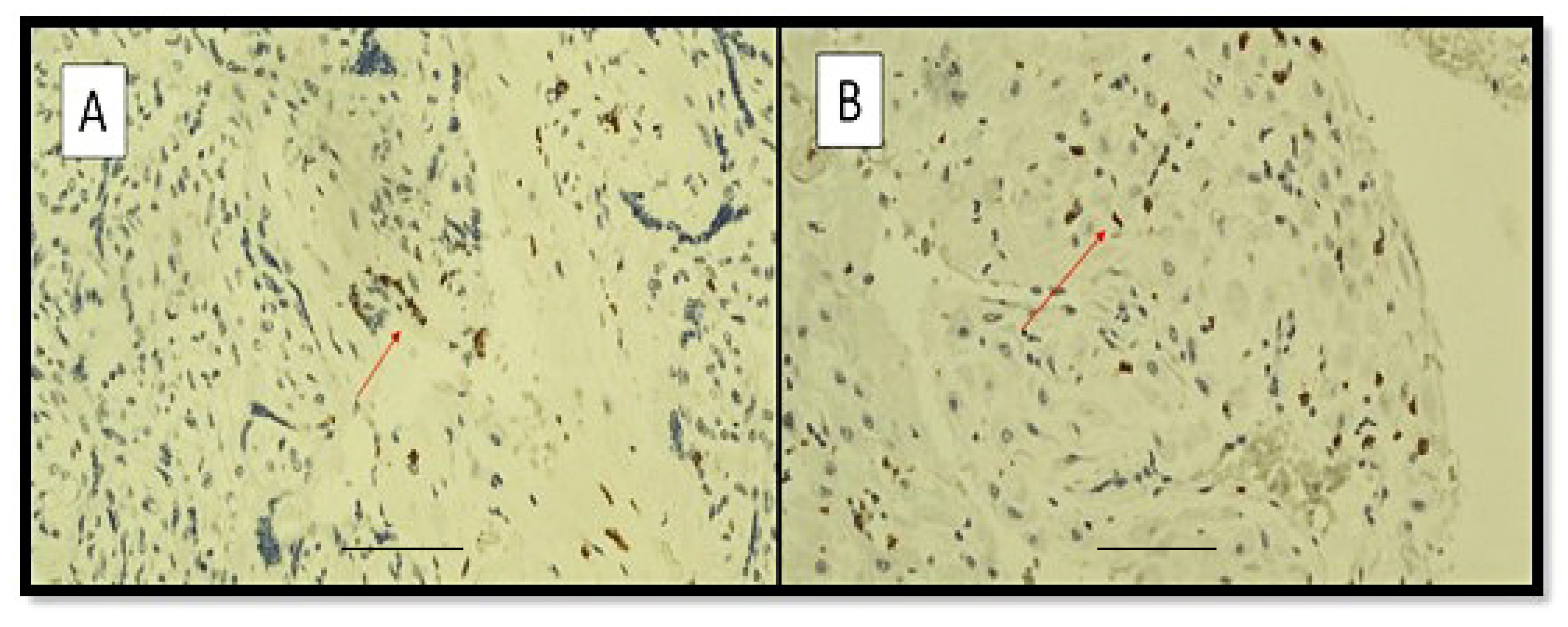 Viruses 14 01330 g003 550