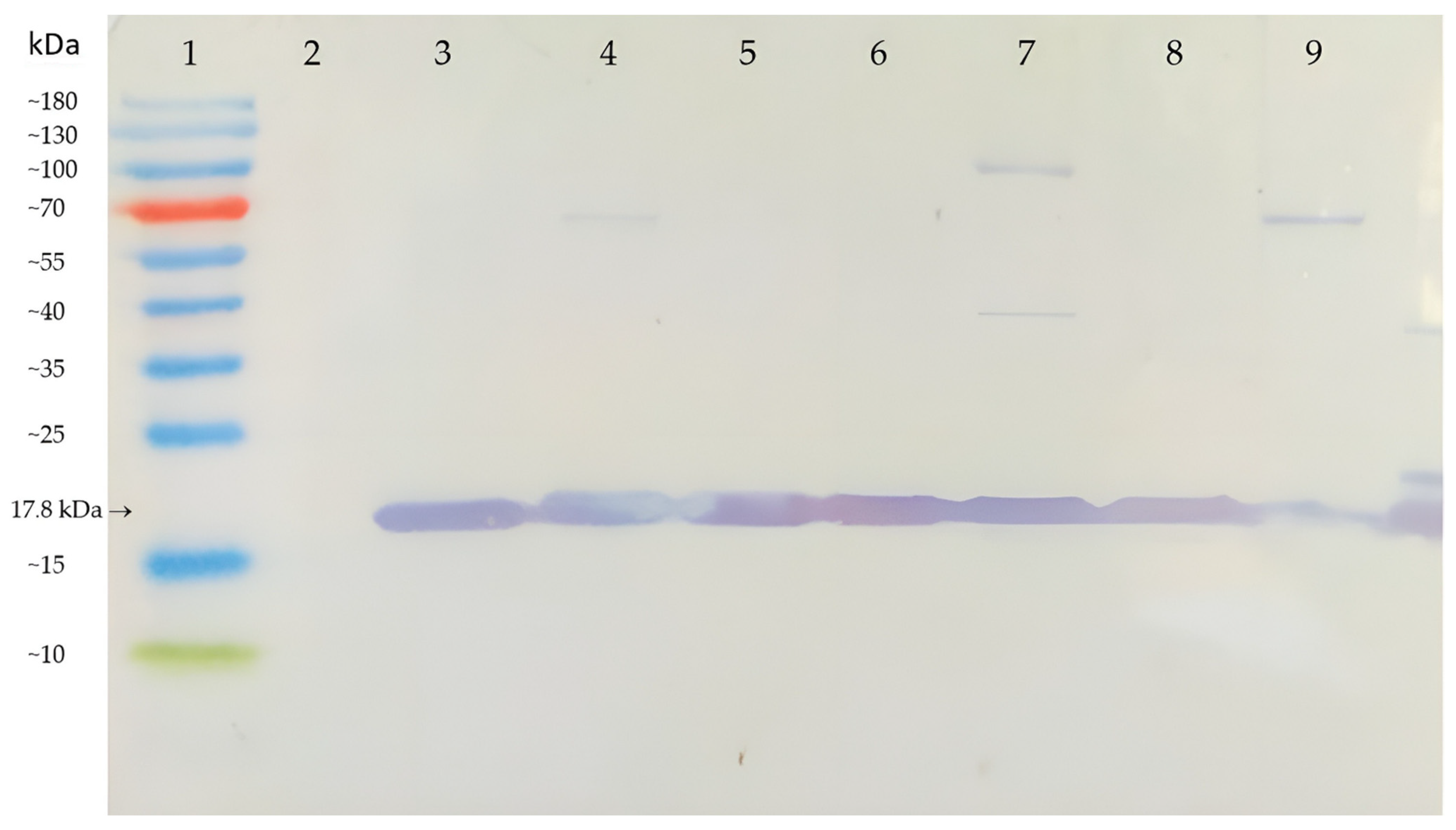 Viruses 14 01331 g005