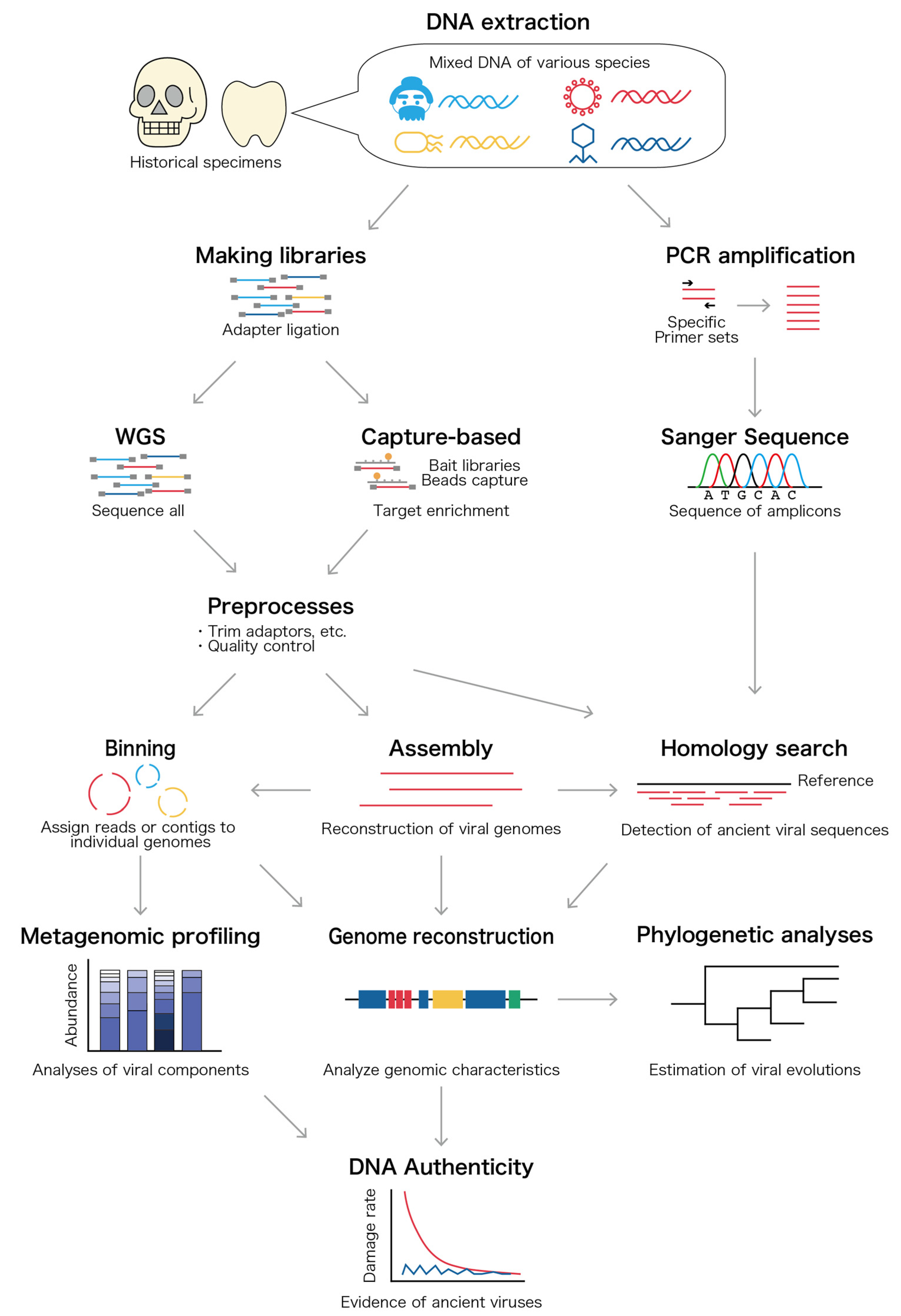 Viruses 14 01336 g002