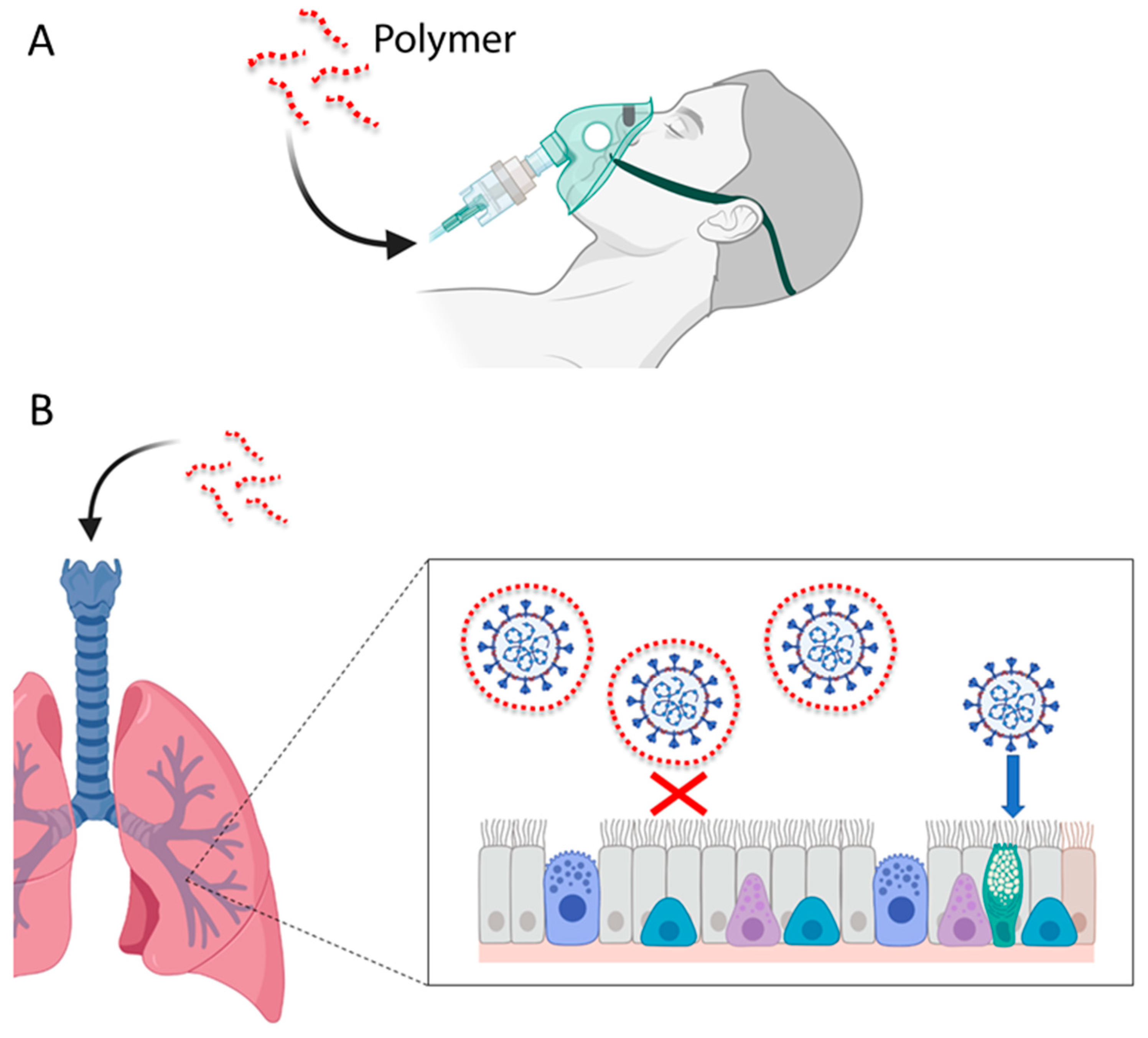 Viruses 14 01337 g003