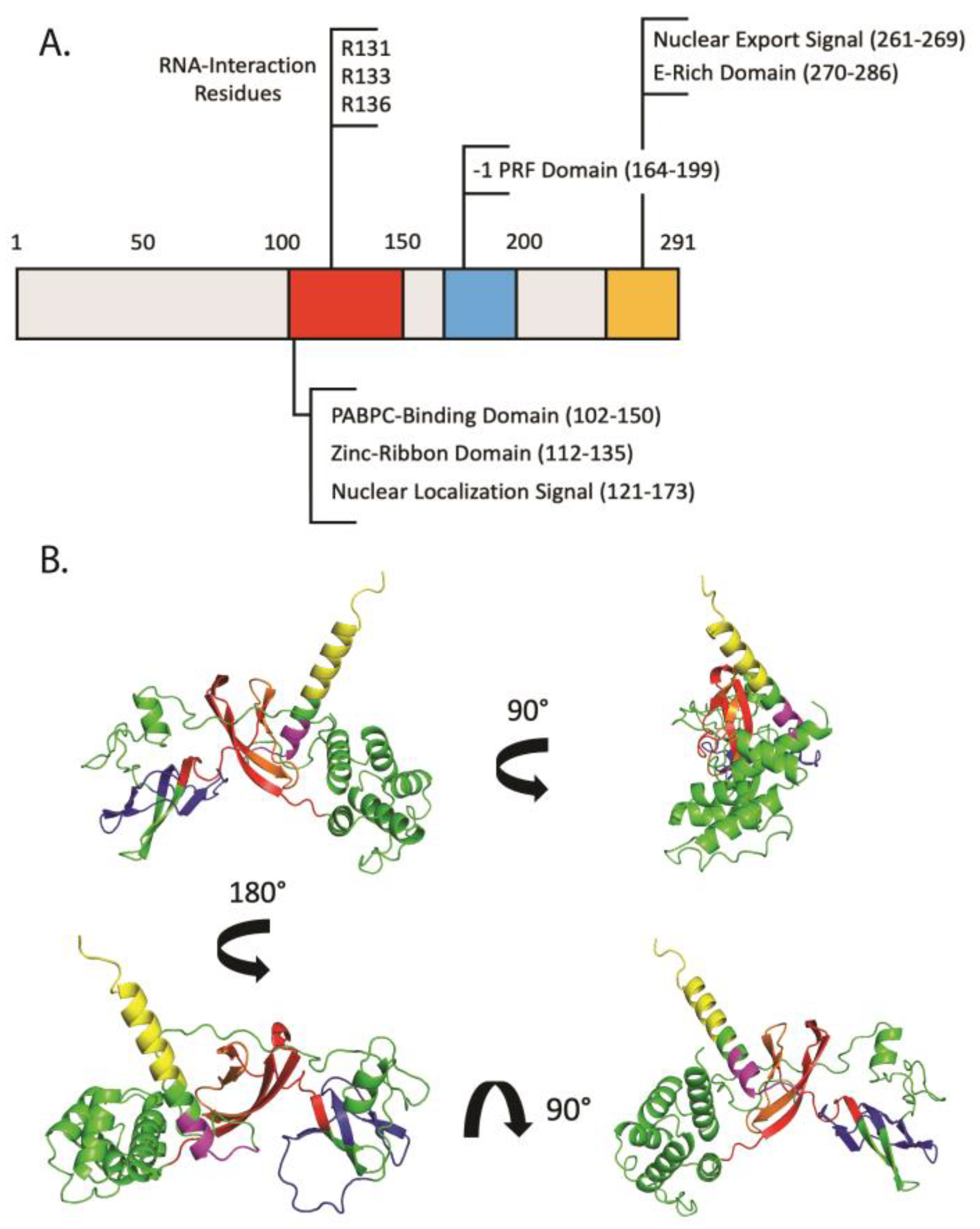 Viruses 14 01338 g001