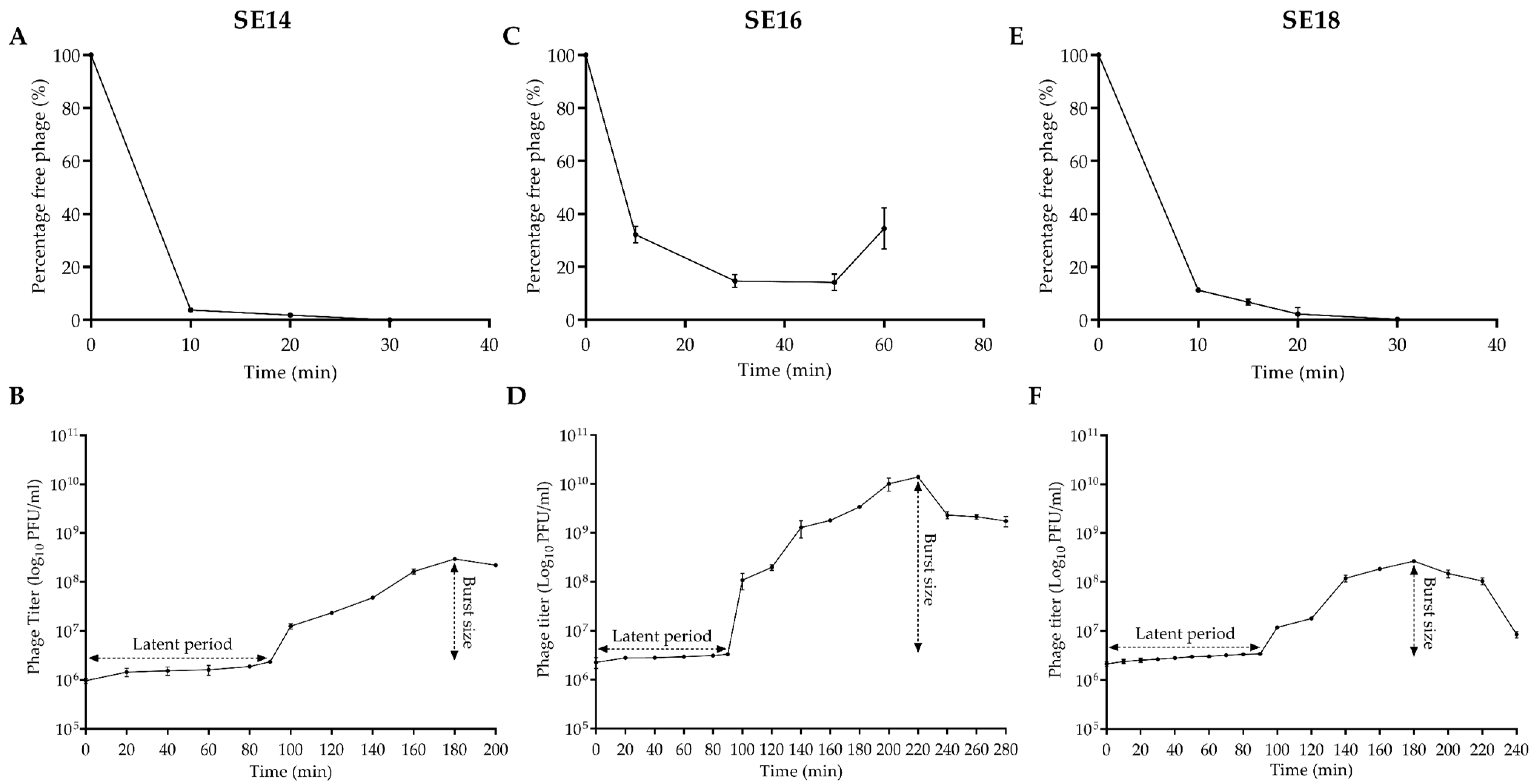 Viruses 14 01340 g002