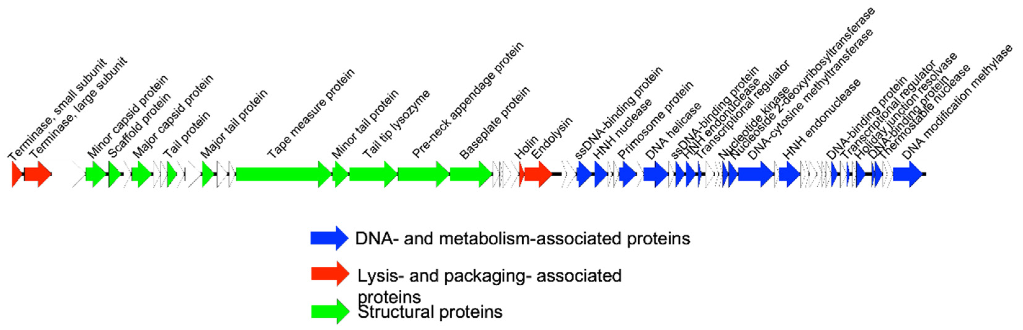 Viruses 14 01340 g003