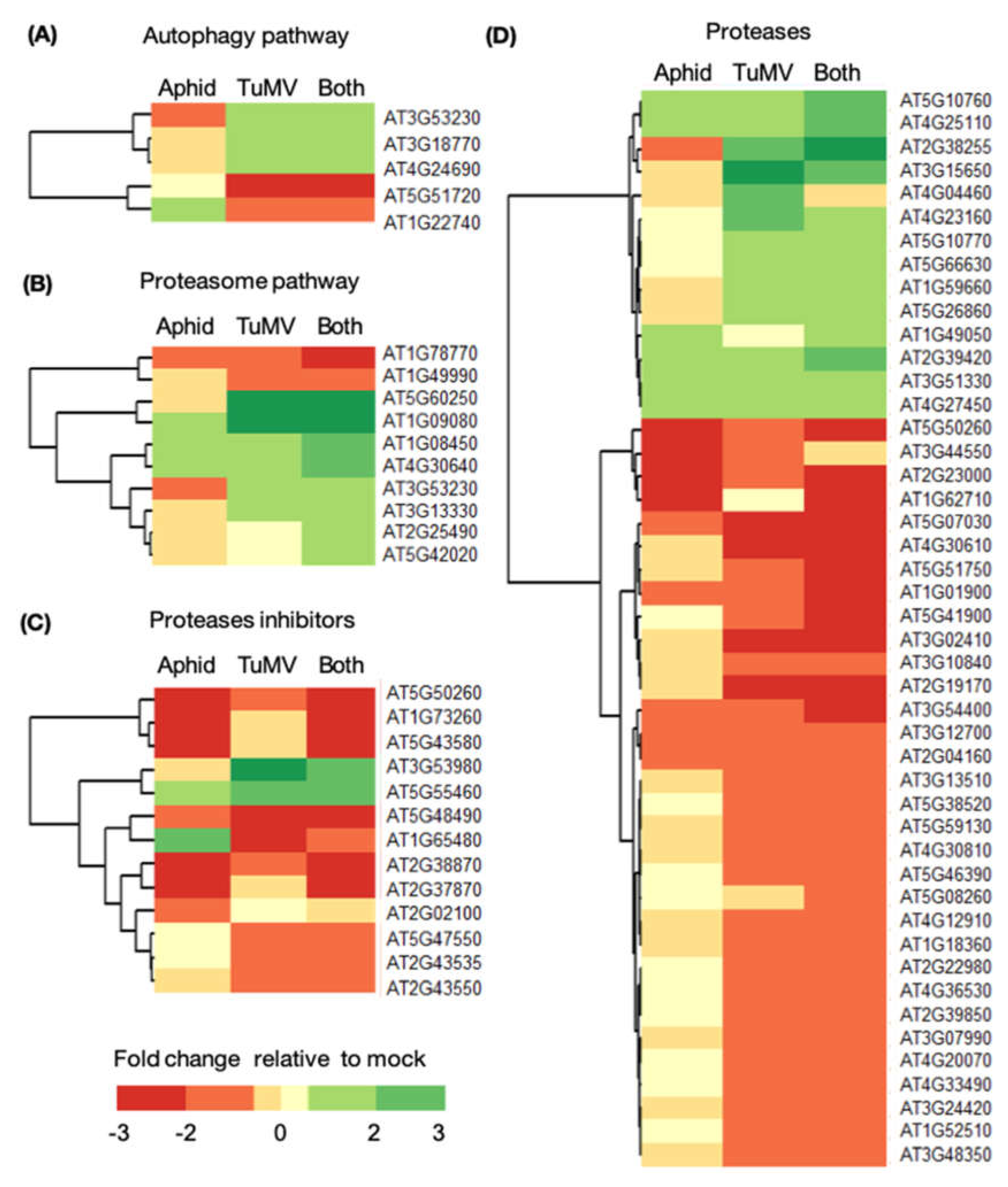 Viruses 14 01341 g003