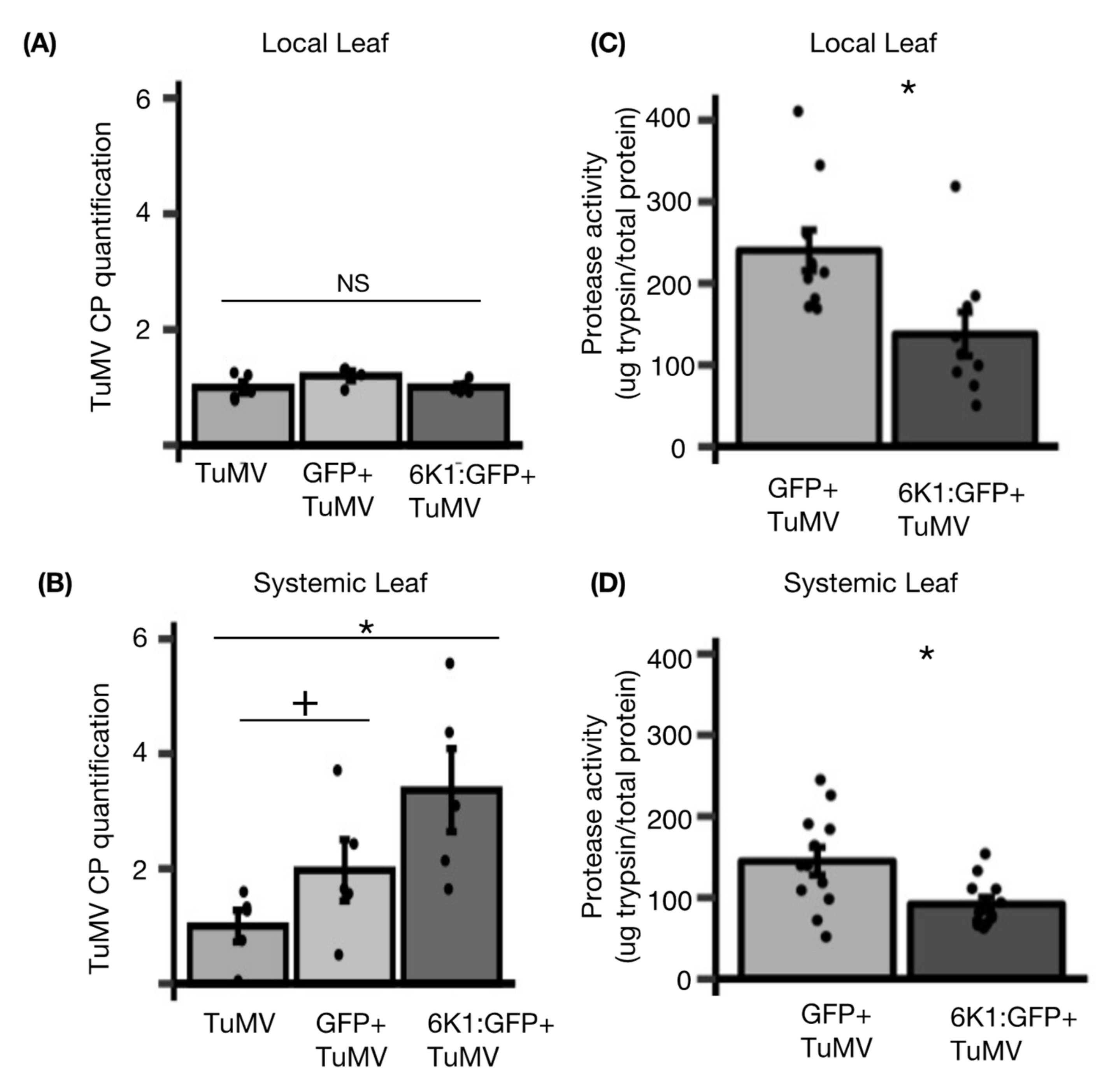Viruses 14 01341 g005