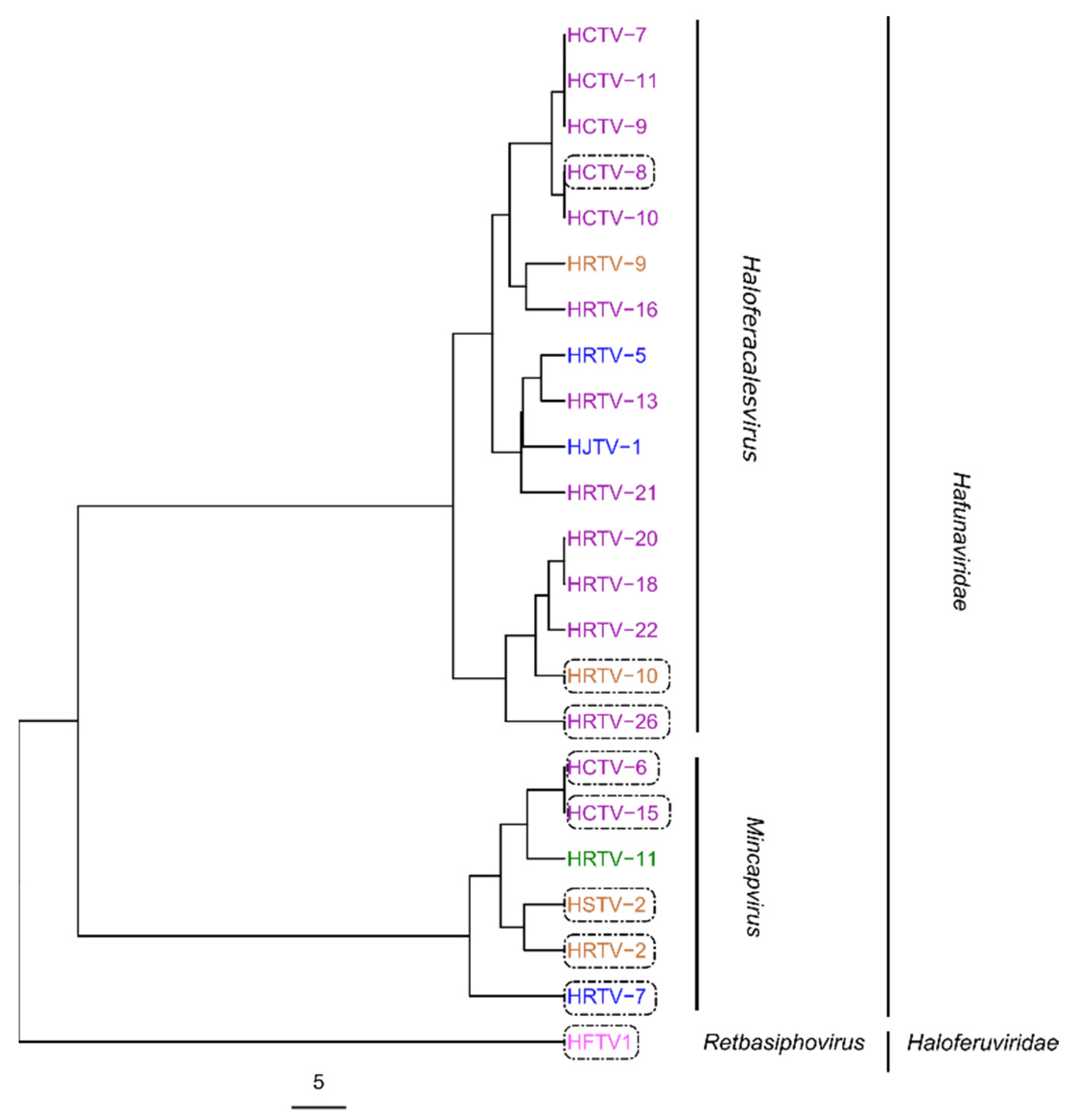 Viruses 14 01344 g002