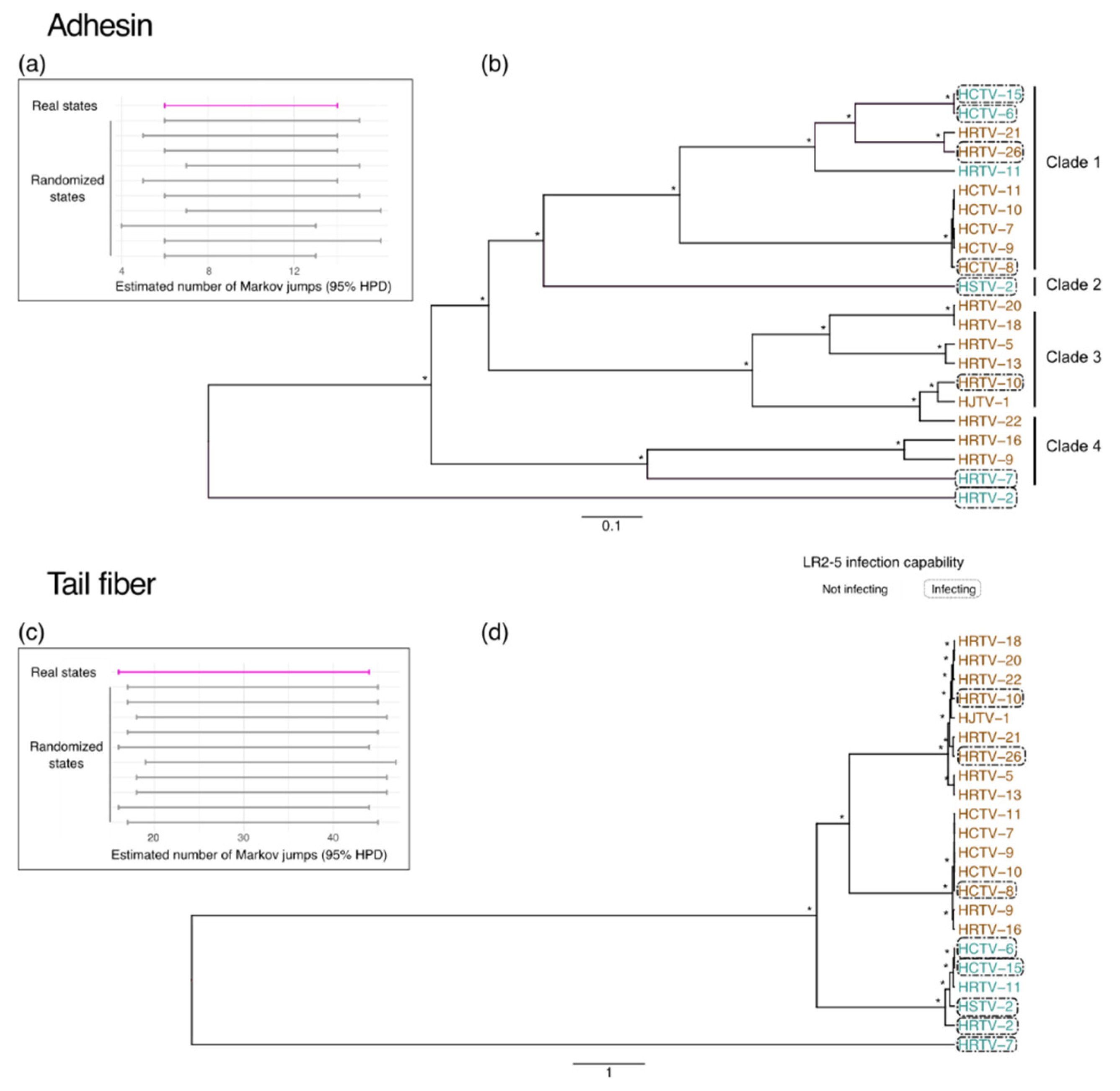 Viruses 14 01344 g005