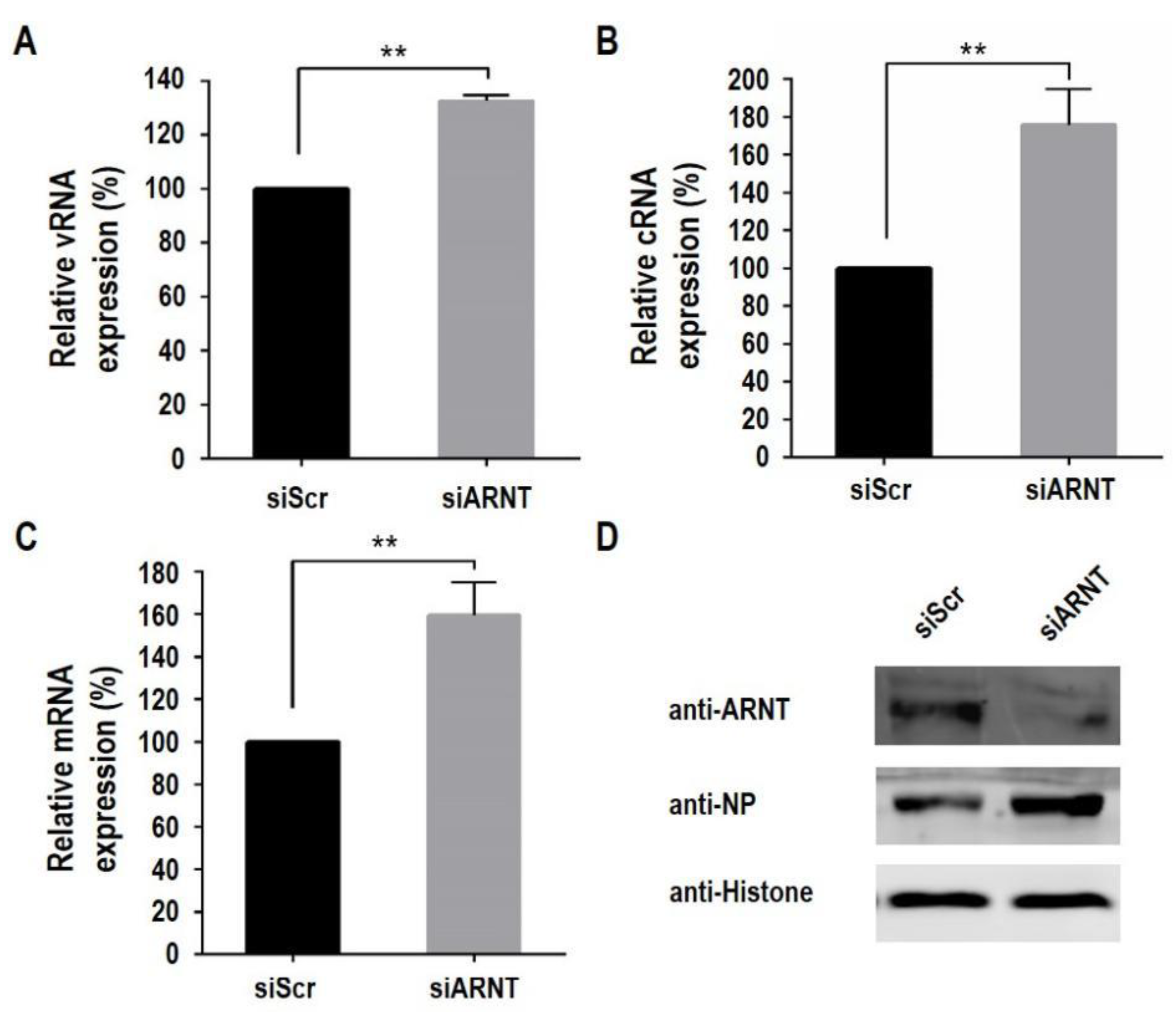 Viruses 14 01347 g005