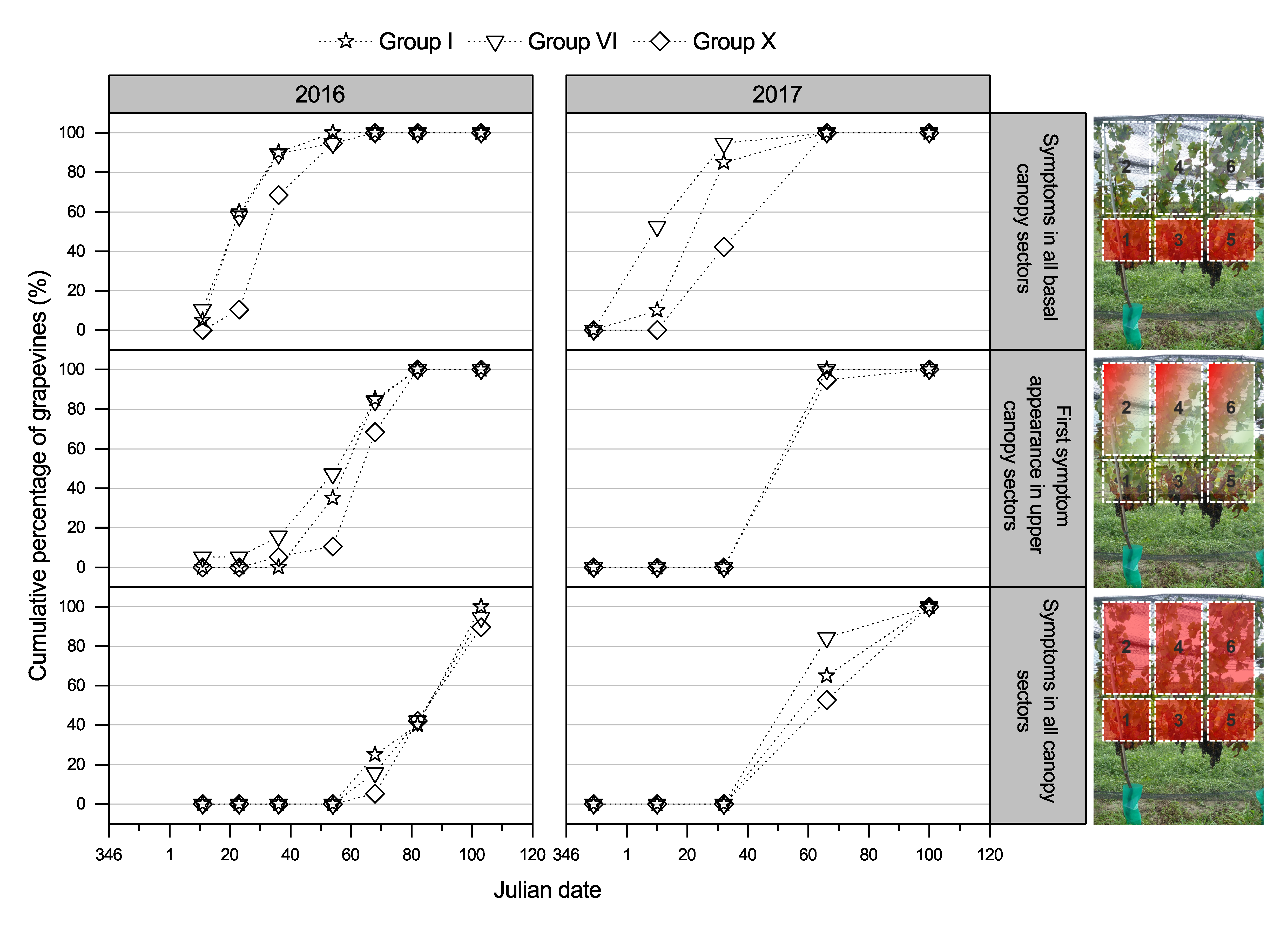 Viruses 14 01348 g004