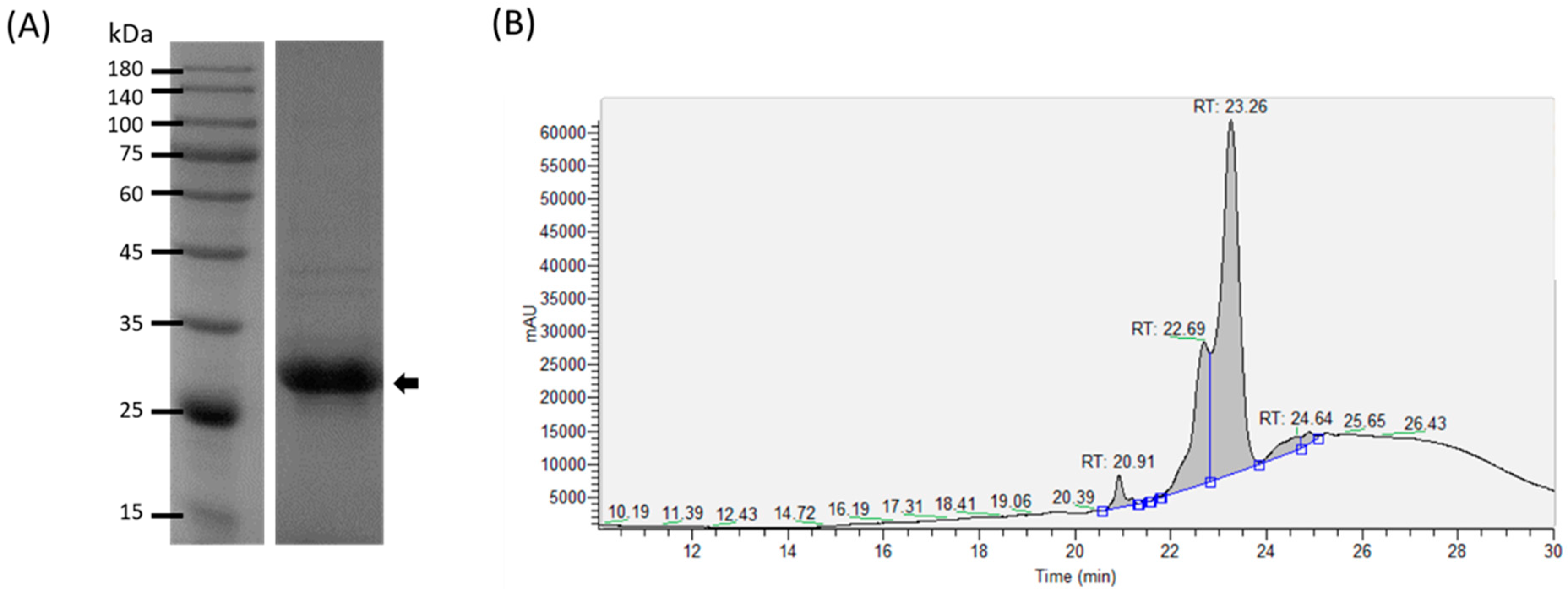 Viruses 14 01353 g001 550