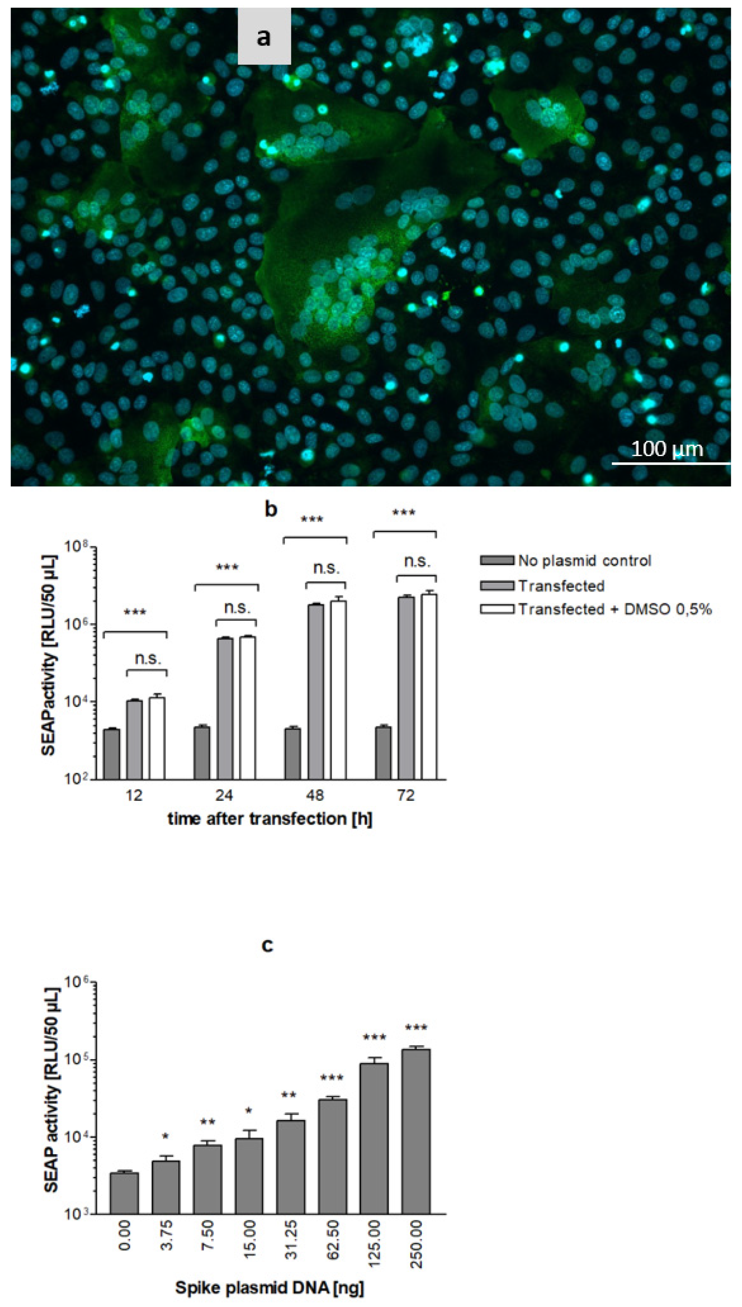 Viruses 14 01354 g008