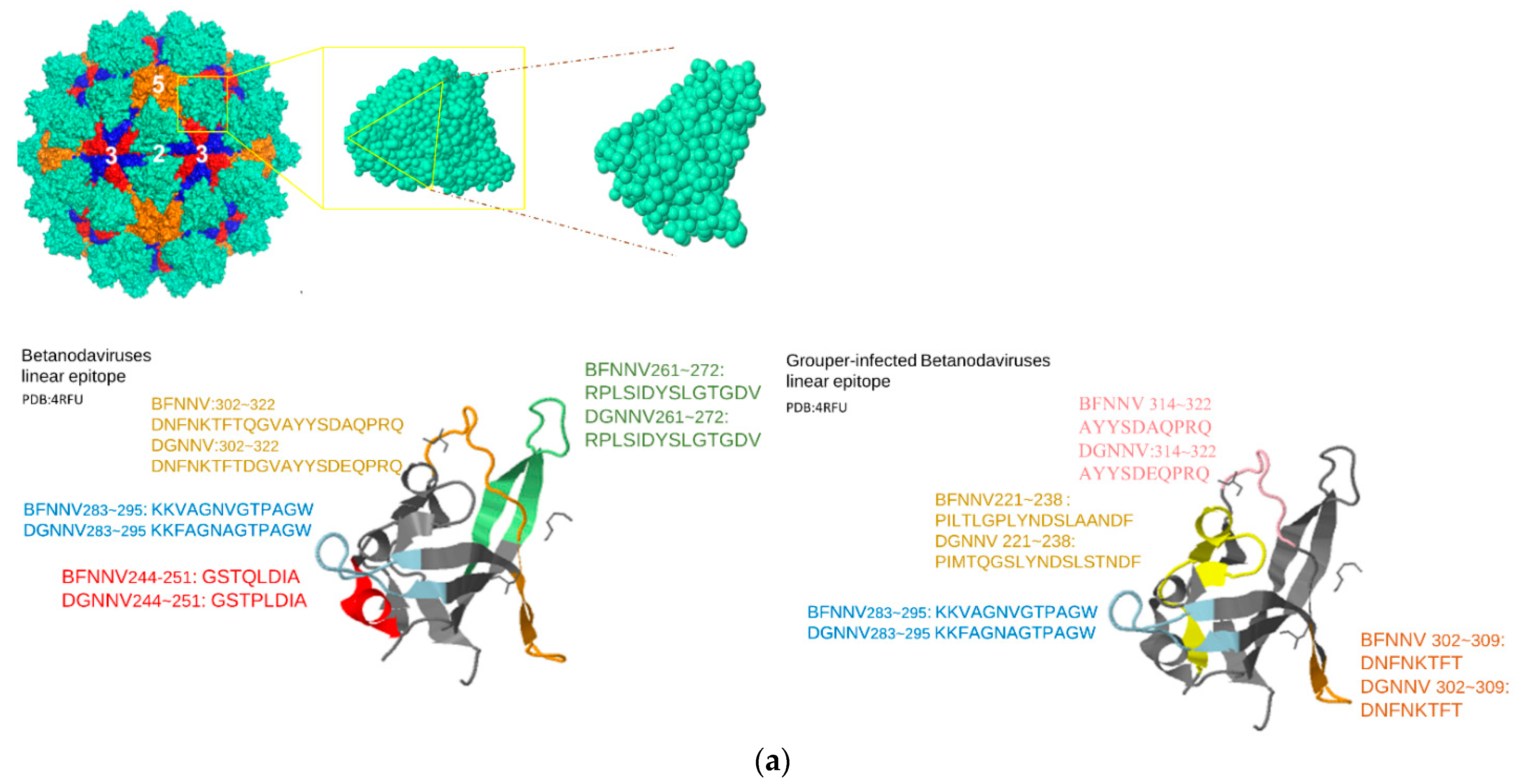 Viruses 14 01357 g001a Viruses 14 01357 g001a