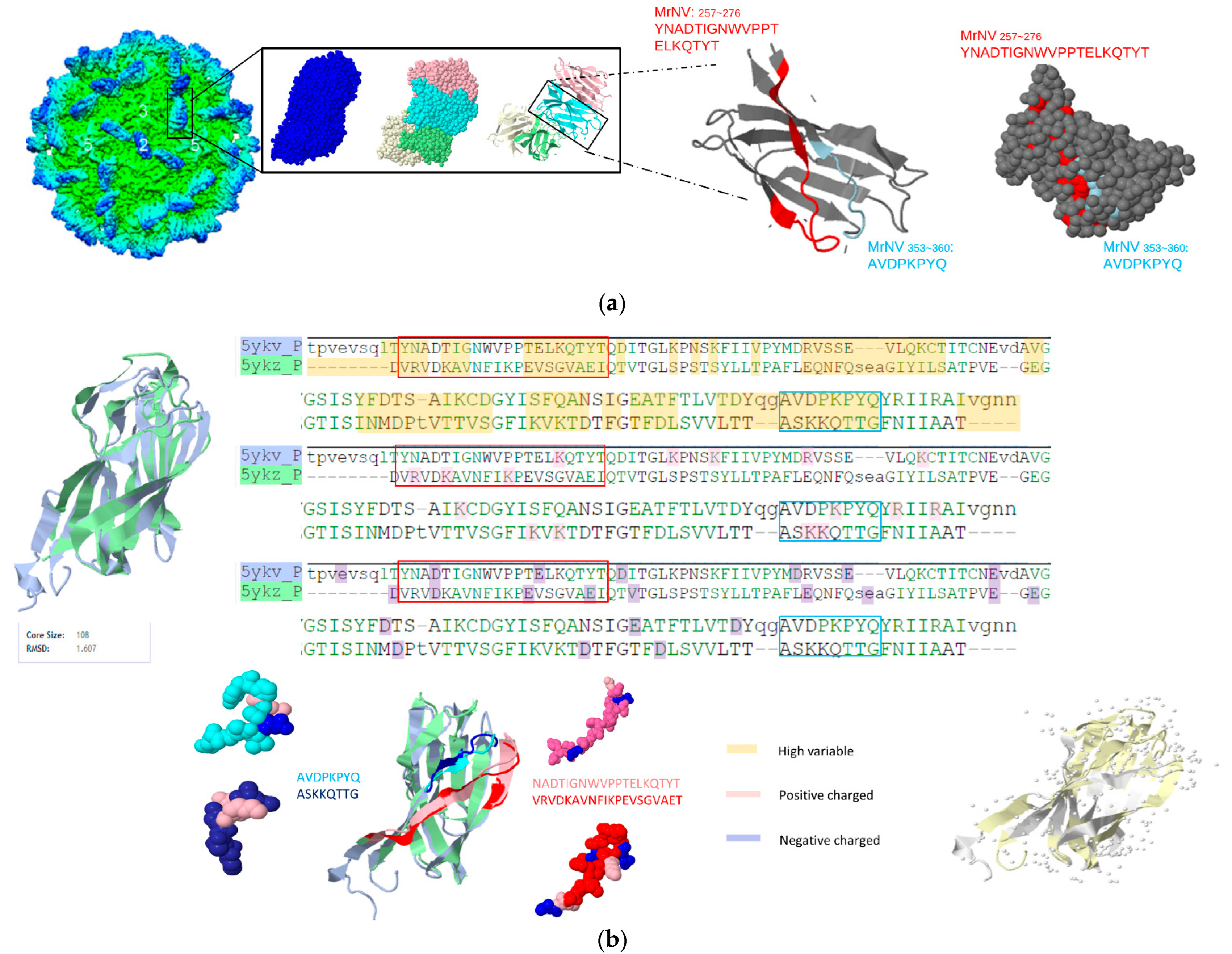 Viruses 14 01357 g004 Viruses 14 01357 g004