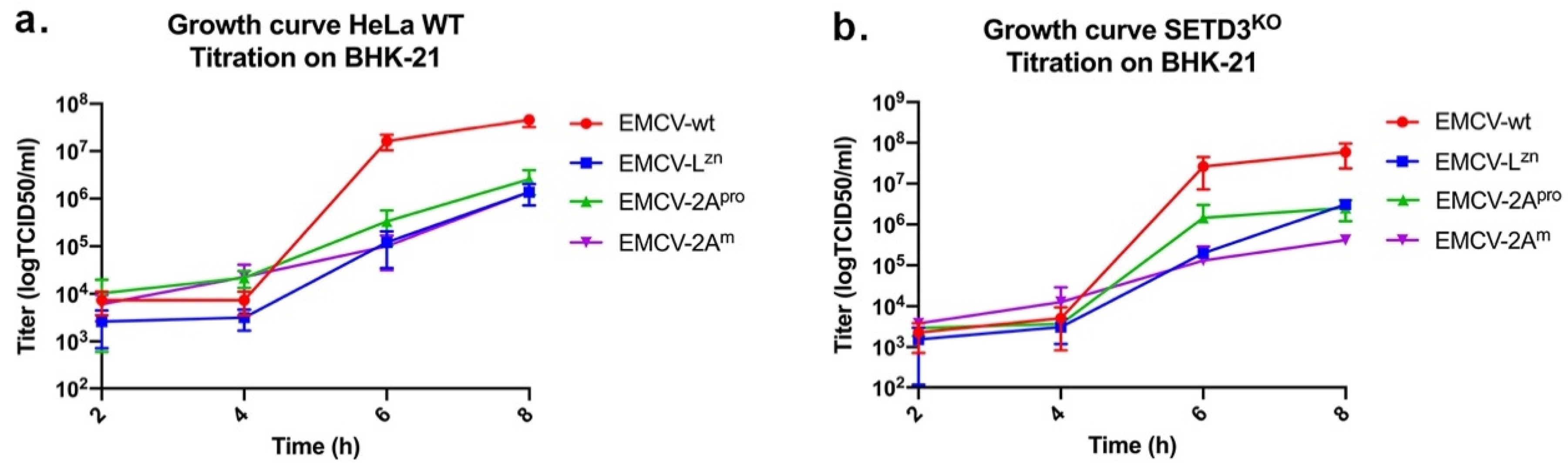 Viruses 14 01360 g002 Viruses 14 01360 g002